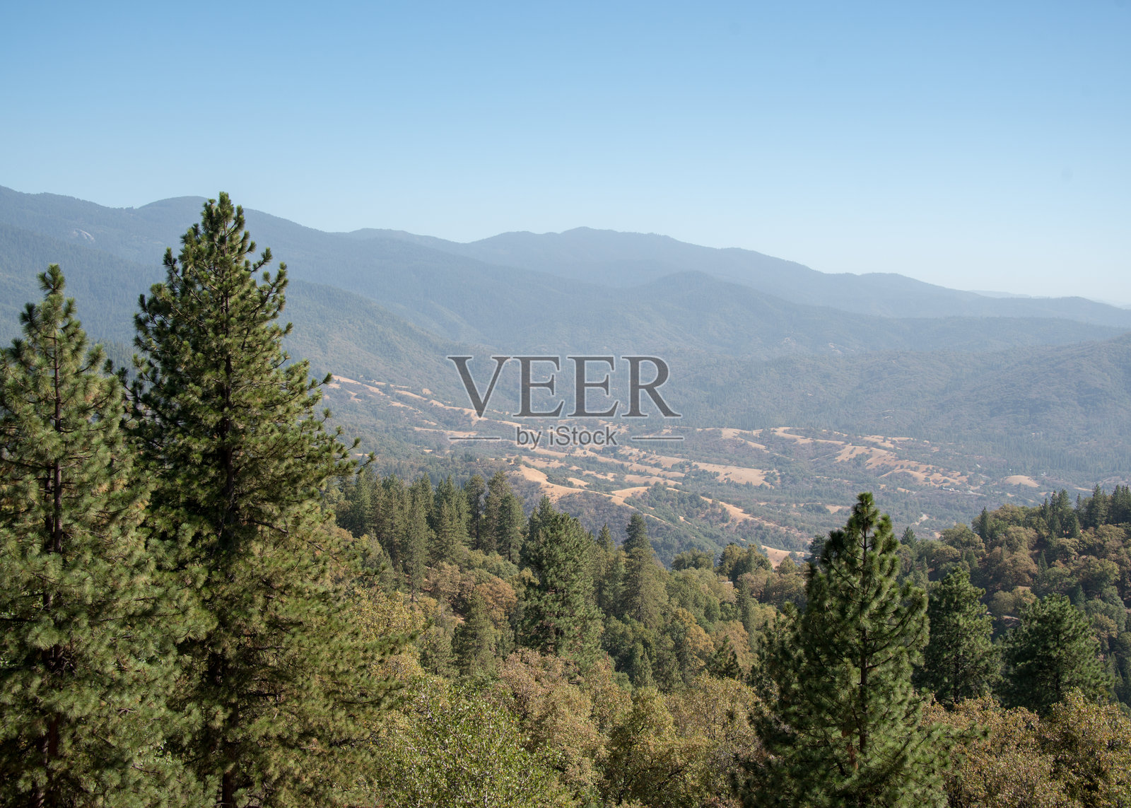 红杉国家森林周围的风景照片摄影图片