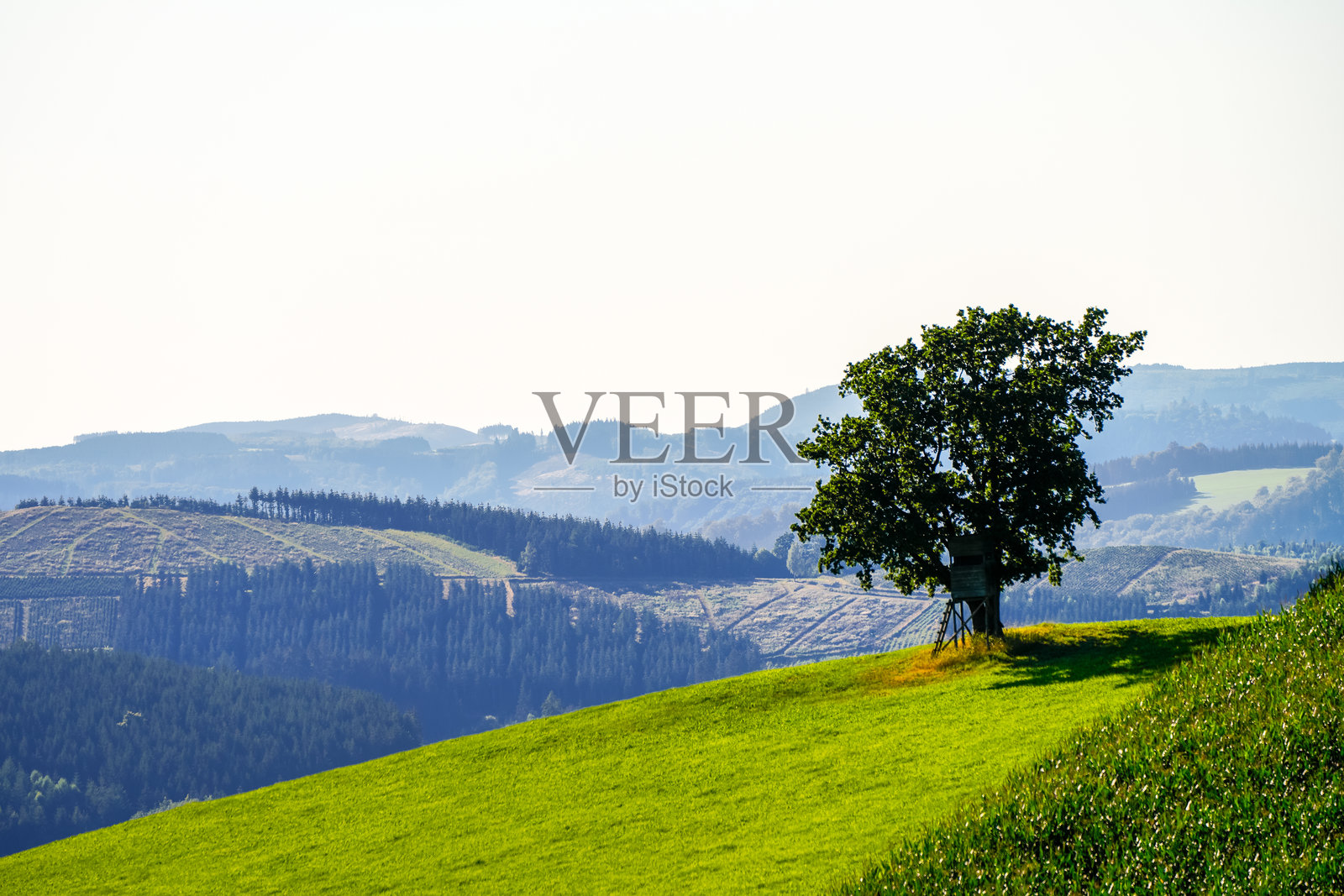 萨尔兰地区奥伯亨内博恩附近的绿色风景。照片摄影图片