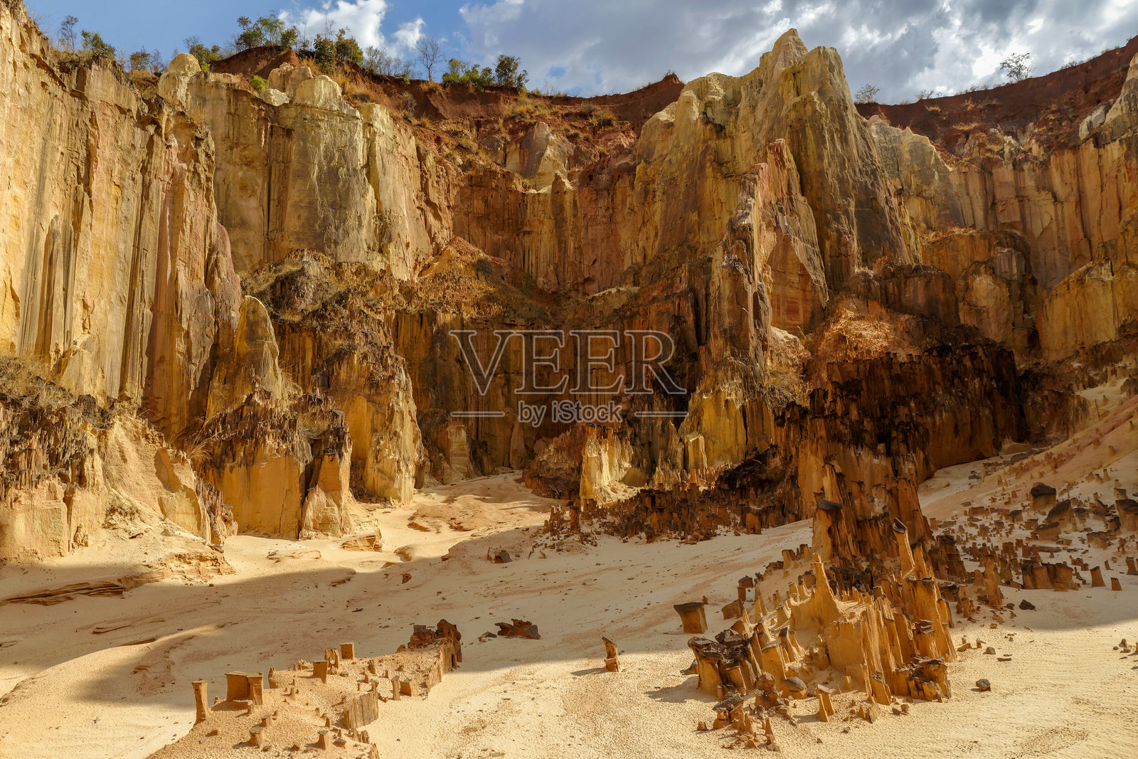 马达加斯加的安卡罗卡罗卡峡谷照片摄影图片