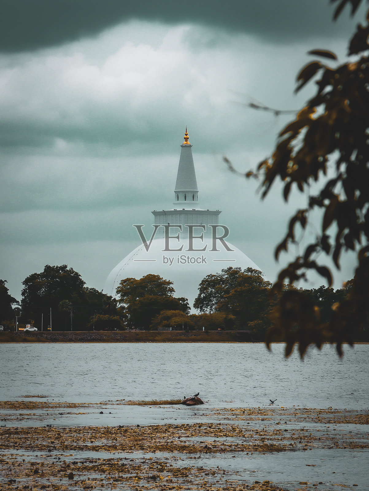 大塔照片摄影图片