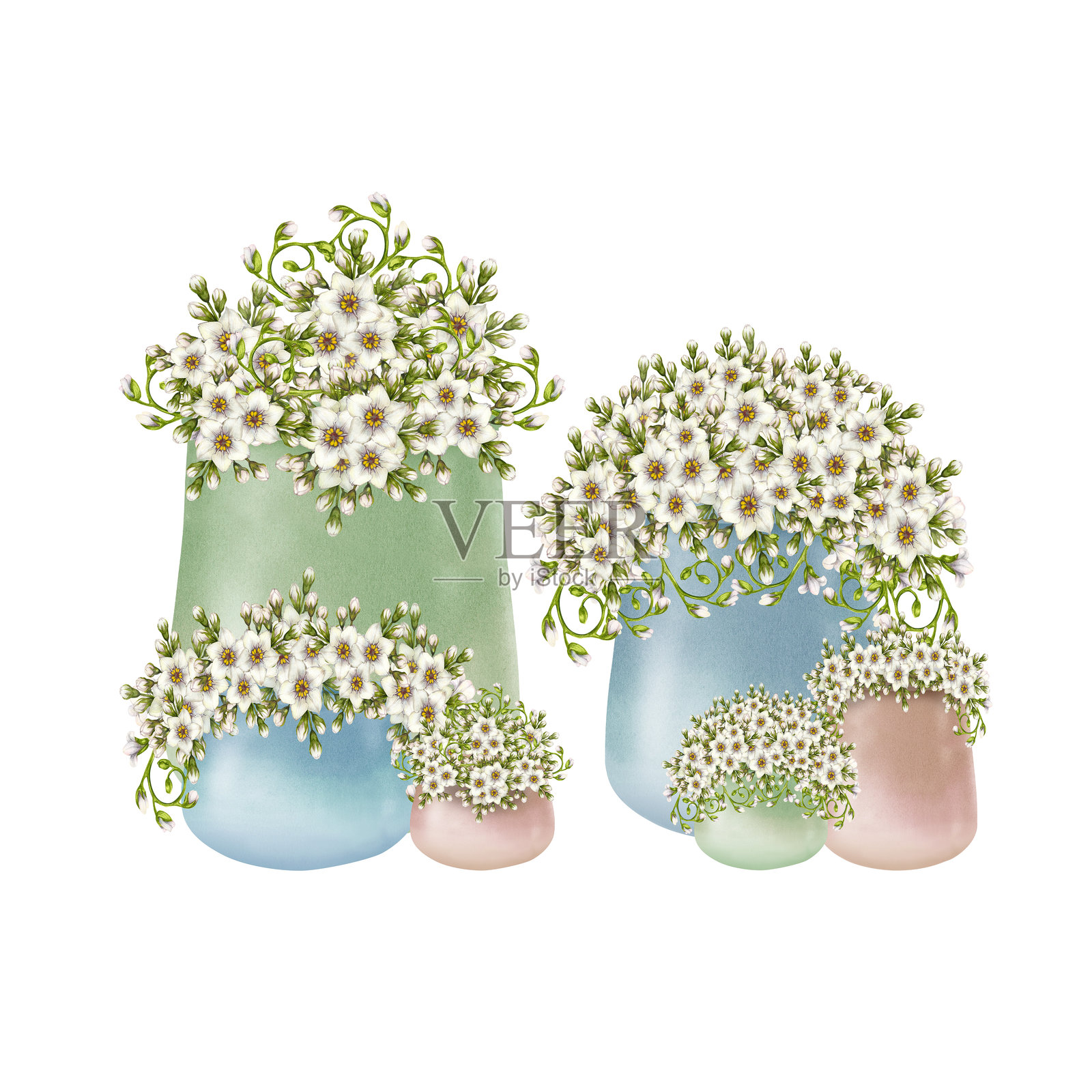 蓝色、绿色和米色陶瓷花盆中的白色报春花。水彩插图,背景为白色。手绘植物风格的勿忘我花盆花卉组合,适合春季设计。插画图片素材