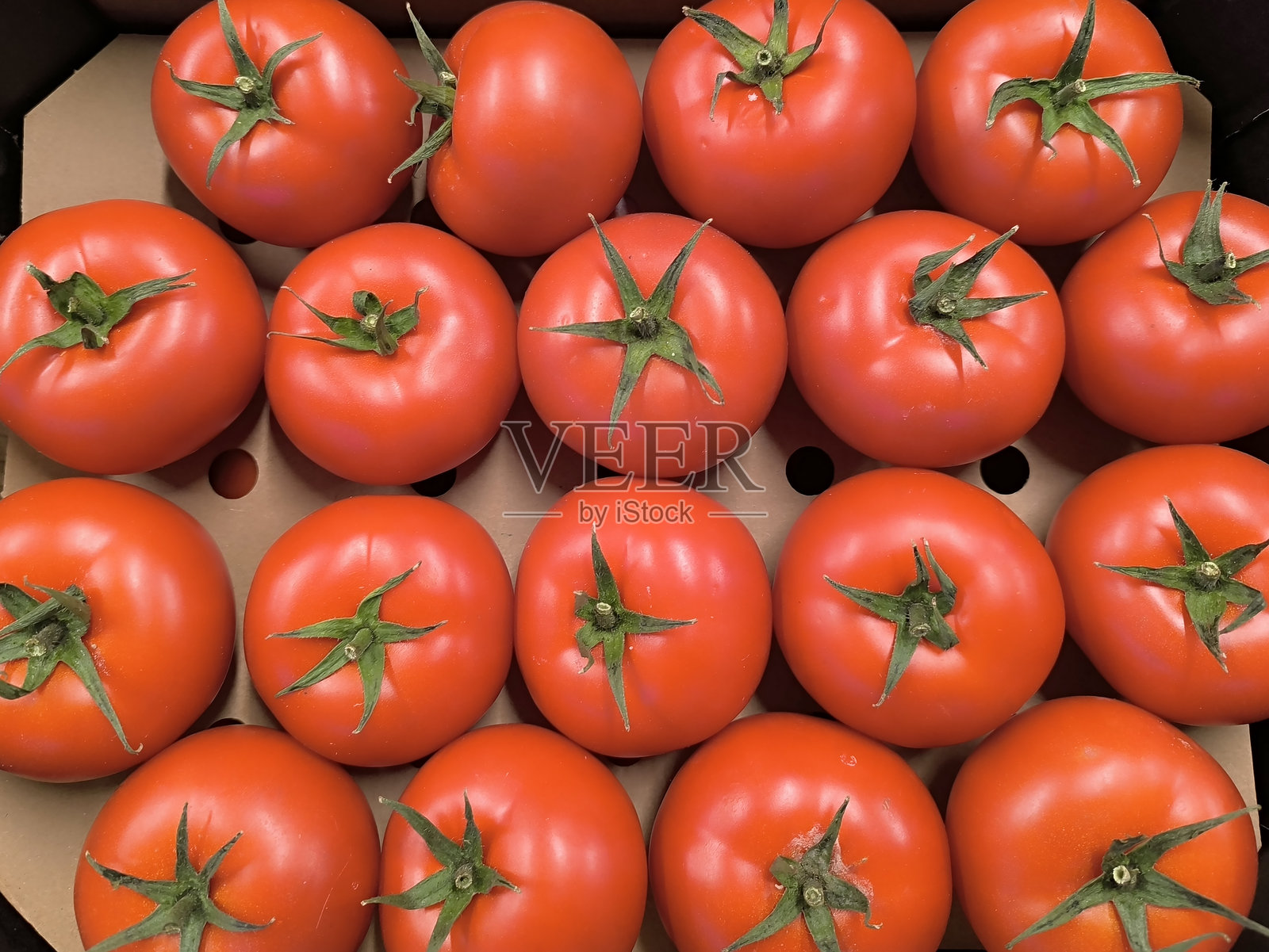 红色番茄。番茄的优质背景。新鲜番茄照片摄影图片