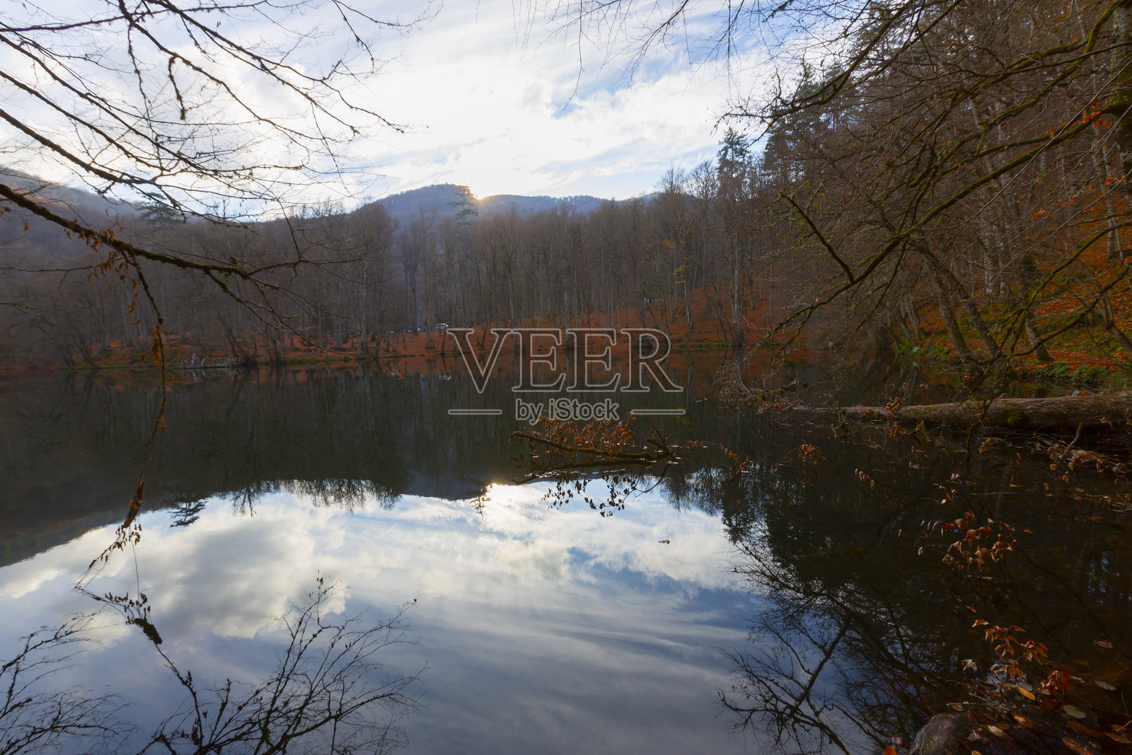 位于博卢省境内的耶迪戈勒国家公园,以其自然美景而闻名,已成为自然爱好者和旅行者的最爱。照片摄影图片