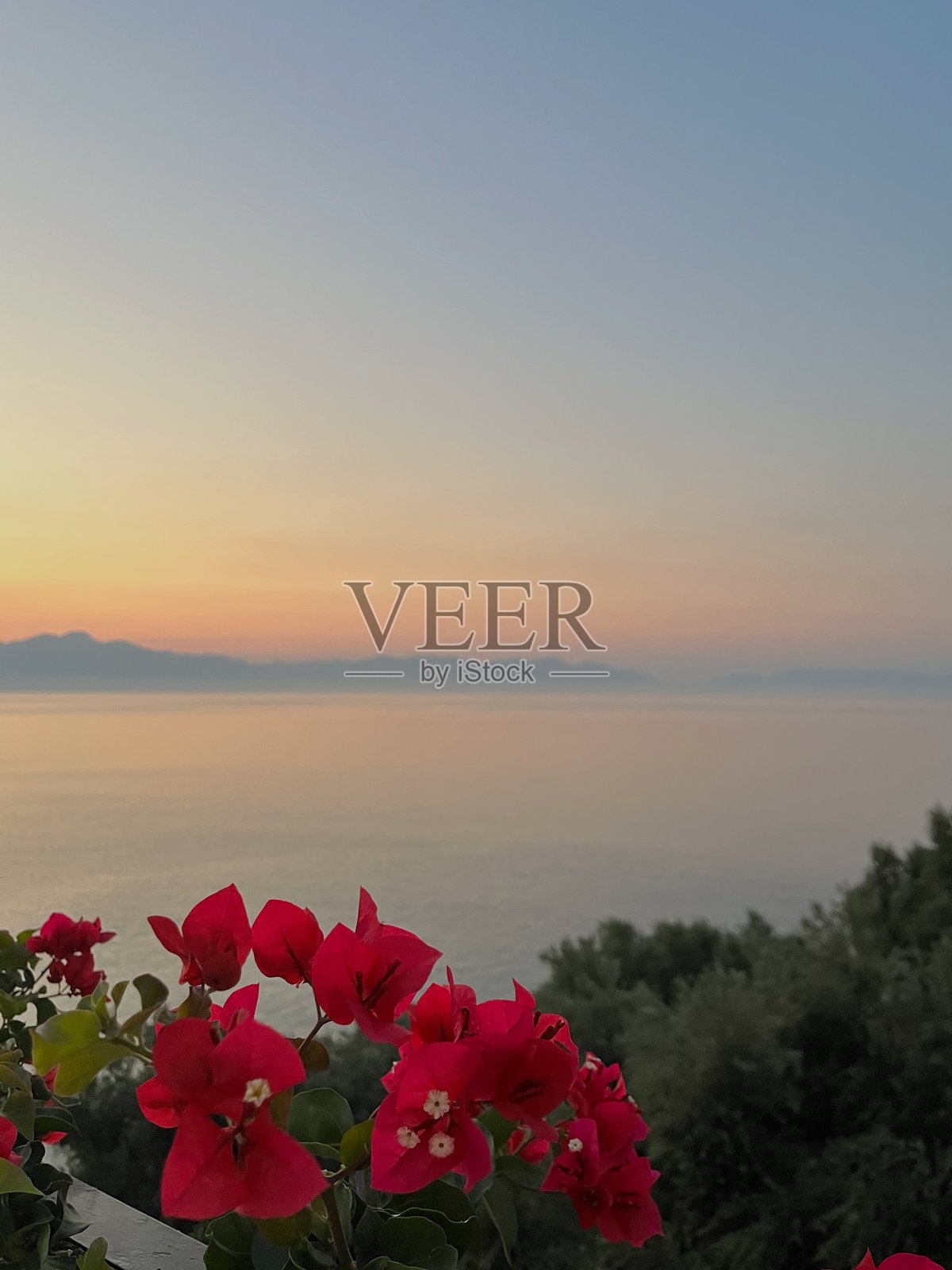 希腊克里特岛美丽的日落海景,花朵点缀,海面宁静而平和。照片摄影图片