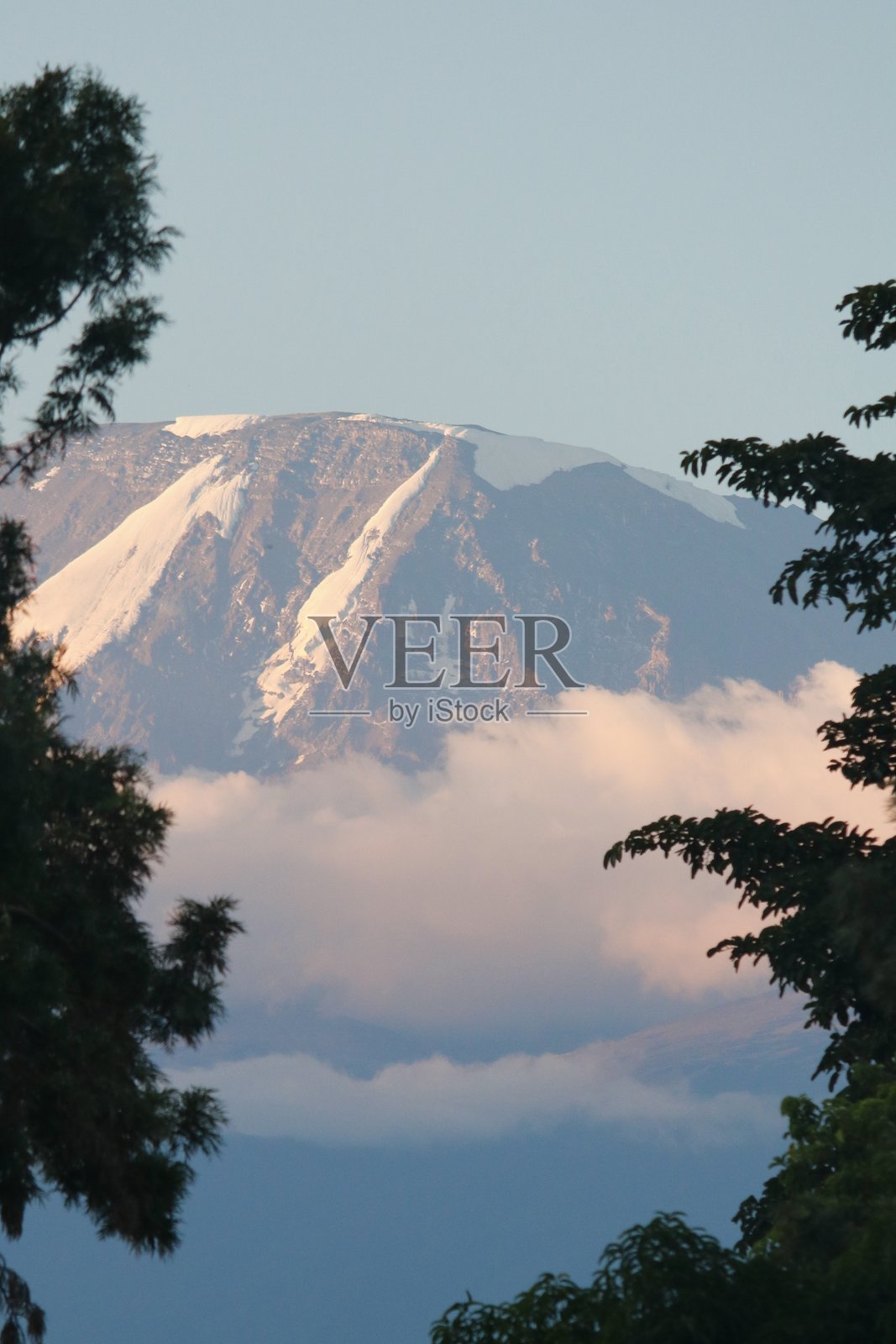 乞力马扎罗山照片摄影图片