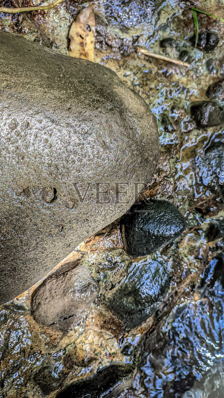 石头照片摄影图片