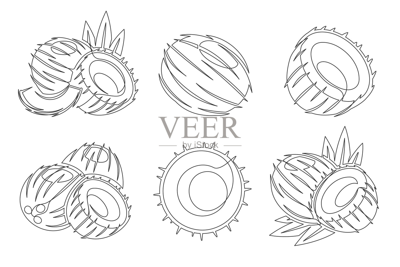 椰子连续线条绘制图标集插画图片素材