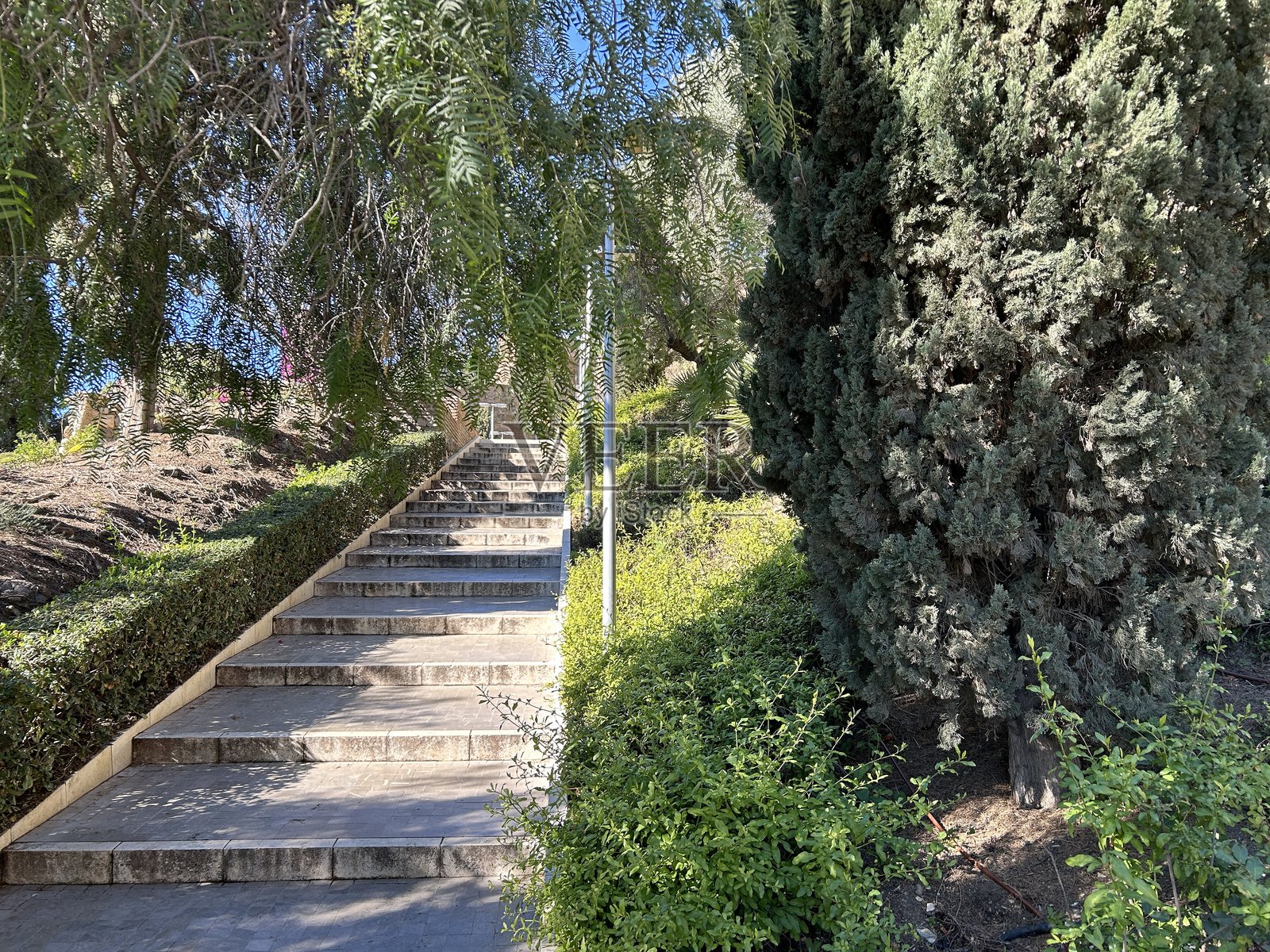 吉布拉法罗附近的花园照片摄影图片