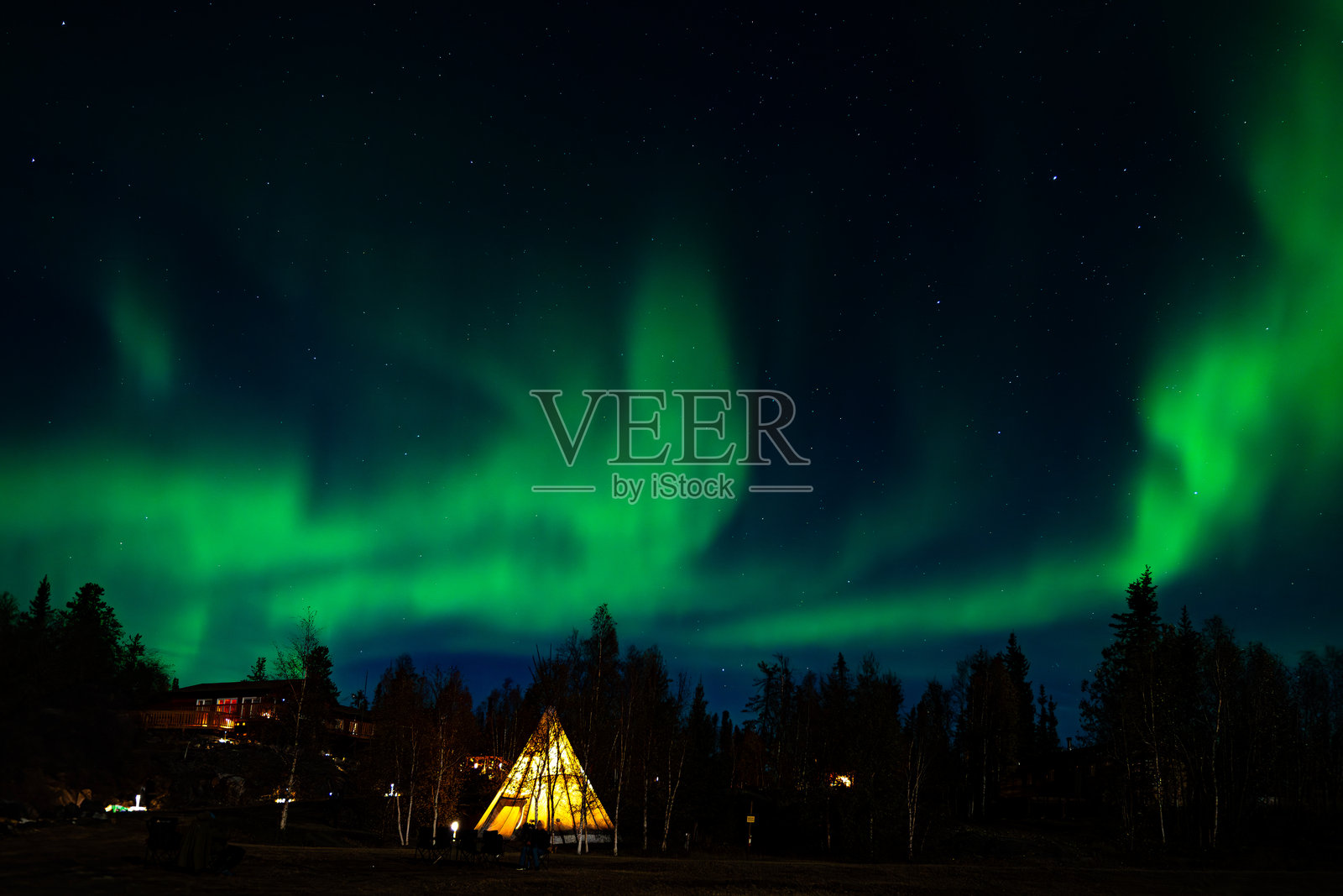 令人惊叹的北极光在加拿大西北地区的黄刀镇夜空中舞动,鲜艳的绿色和紫色光芒照亮了被雪覆盖的景观和剪影般的树木。照片摄影图片