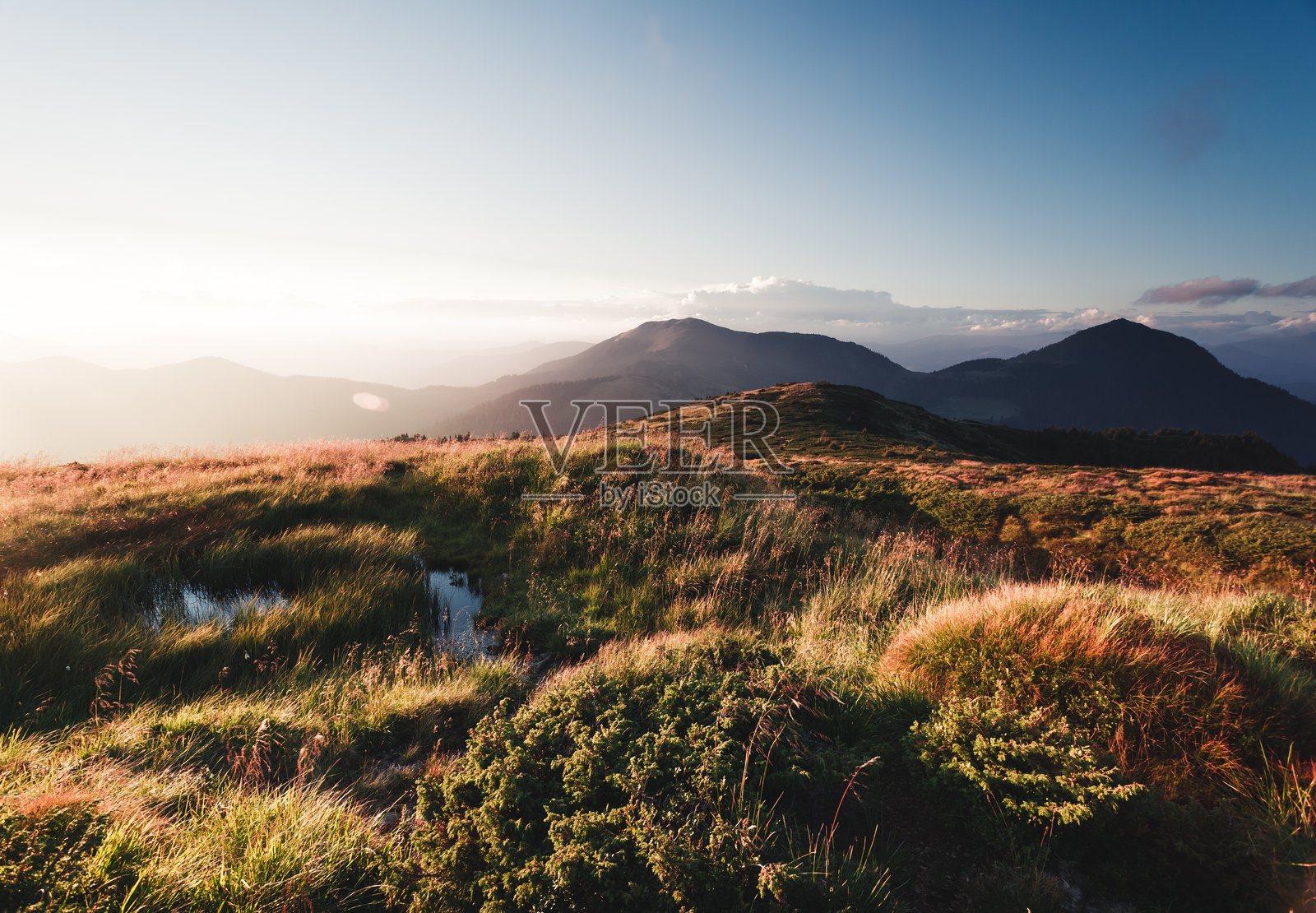 美丽的阿尔卑斯高地在晨光中。地点:乌克兰喀尔巴阡山脉。照片摄影图片