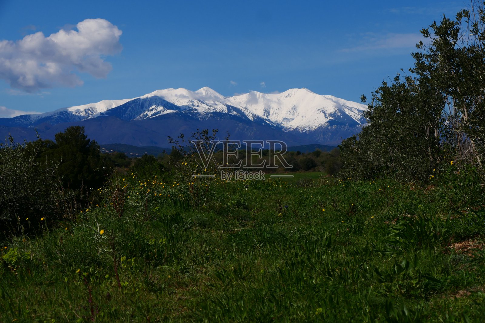 从特雷塞尔(东比利牛斯)看到的白雪覆盖的卡尼古山照片摄影图片
