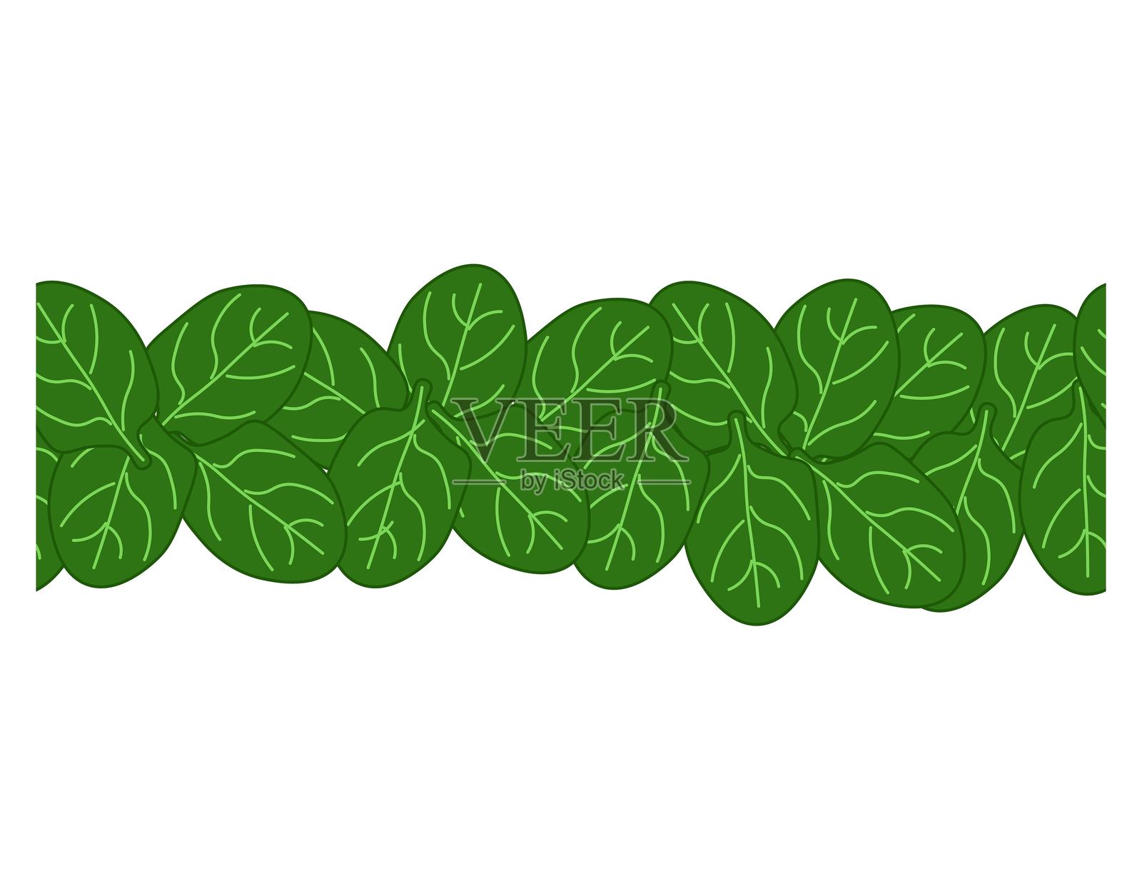 绿色菠菜叶无缝水平边框,叶类蔬菜框架,边框,卡片模板。矢量平面插图横幅,适用于面料、标签、T恤印刷。吃绿色插画图片素材