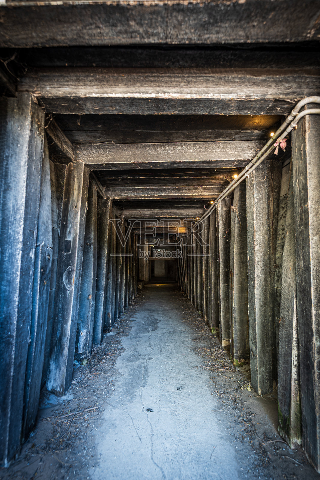 废弃的老林间隧道照片摄影图片