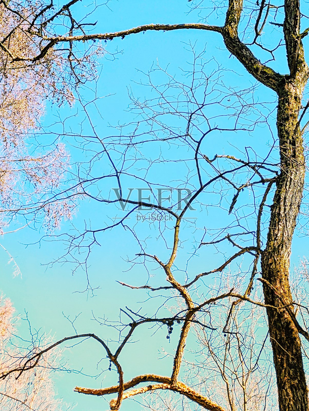 风景如画的自然景观照片摄影图片