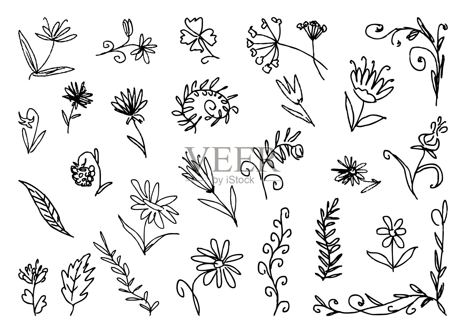 夏季花卉涂鸦,花朵,植物,轮廓画,矢量插图,白色背景上独立展示插画图片素材