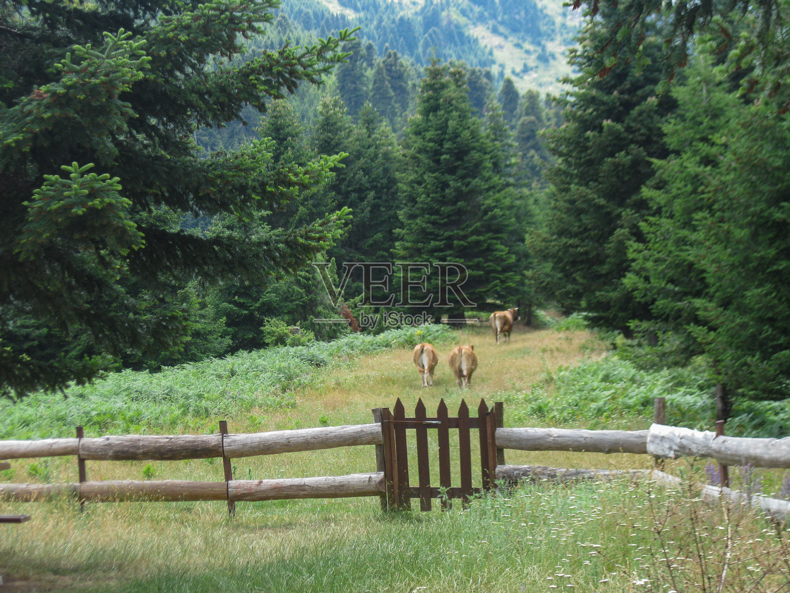 阿格拉法山脉照片摄影图片