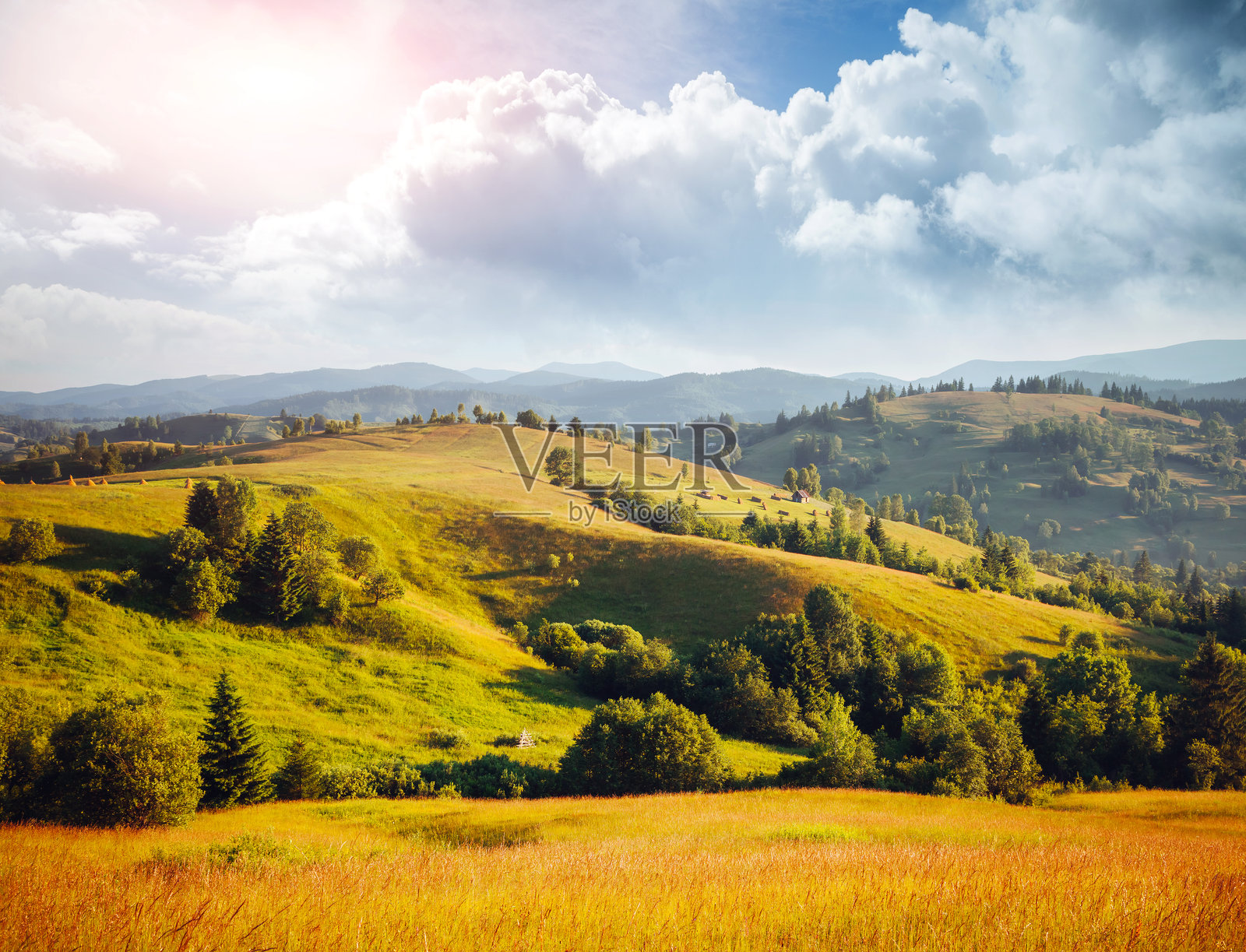 美丽的乡村风景在晨光中。地点:喀尔巴阡山脉,乌克兰,欧洲。照片摄影图片