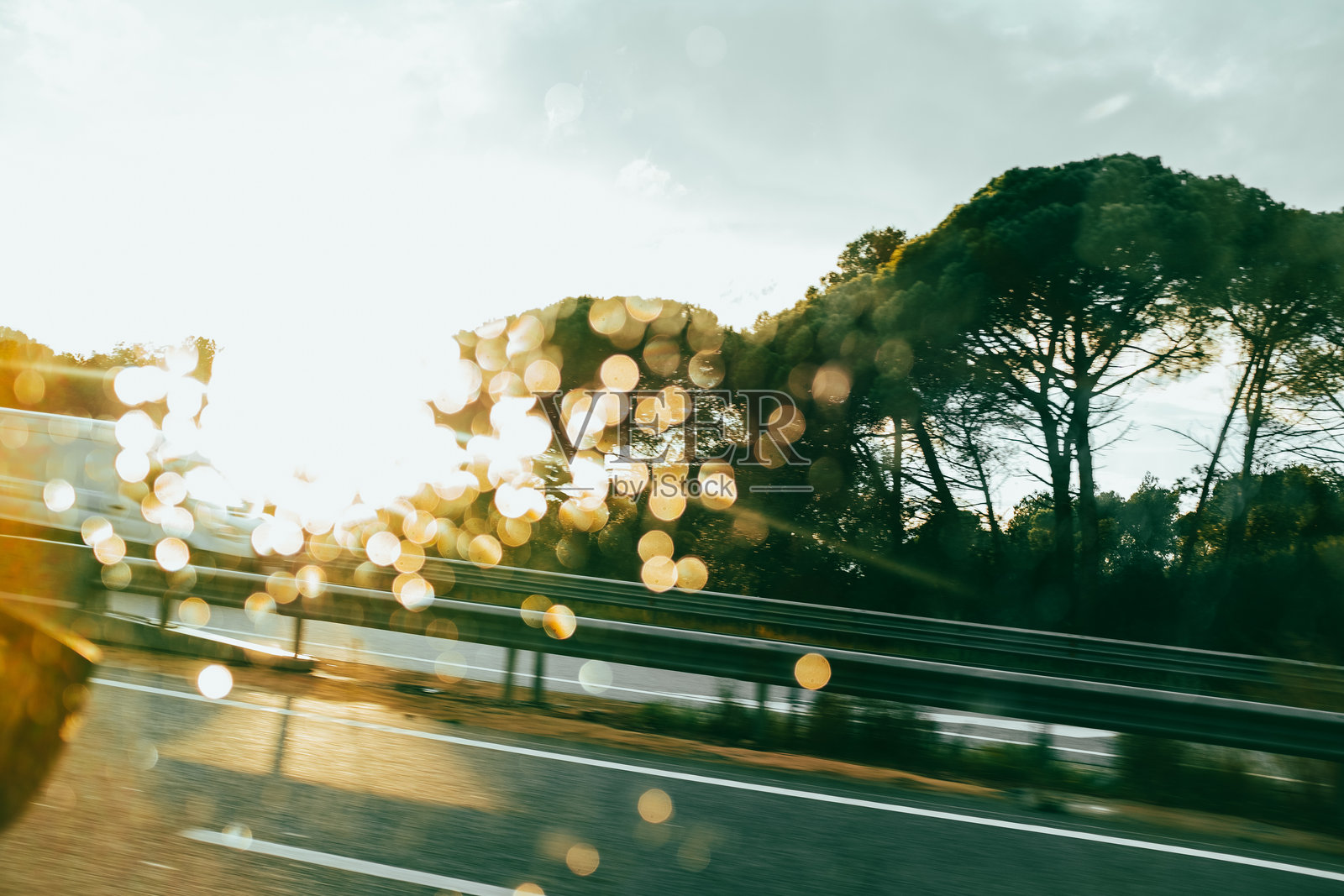 阳光透过聚光灯照射在模糊的森林景观中照片摄影图片