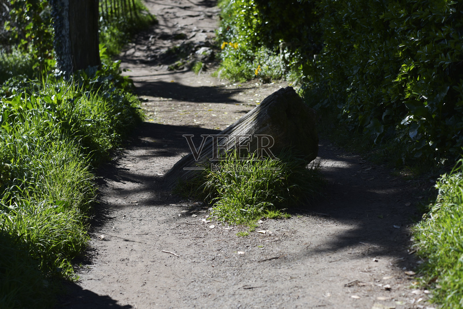春季的康卡勒,徒步旅行小径照片摄影图片