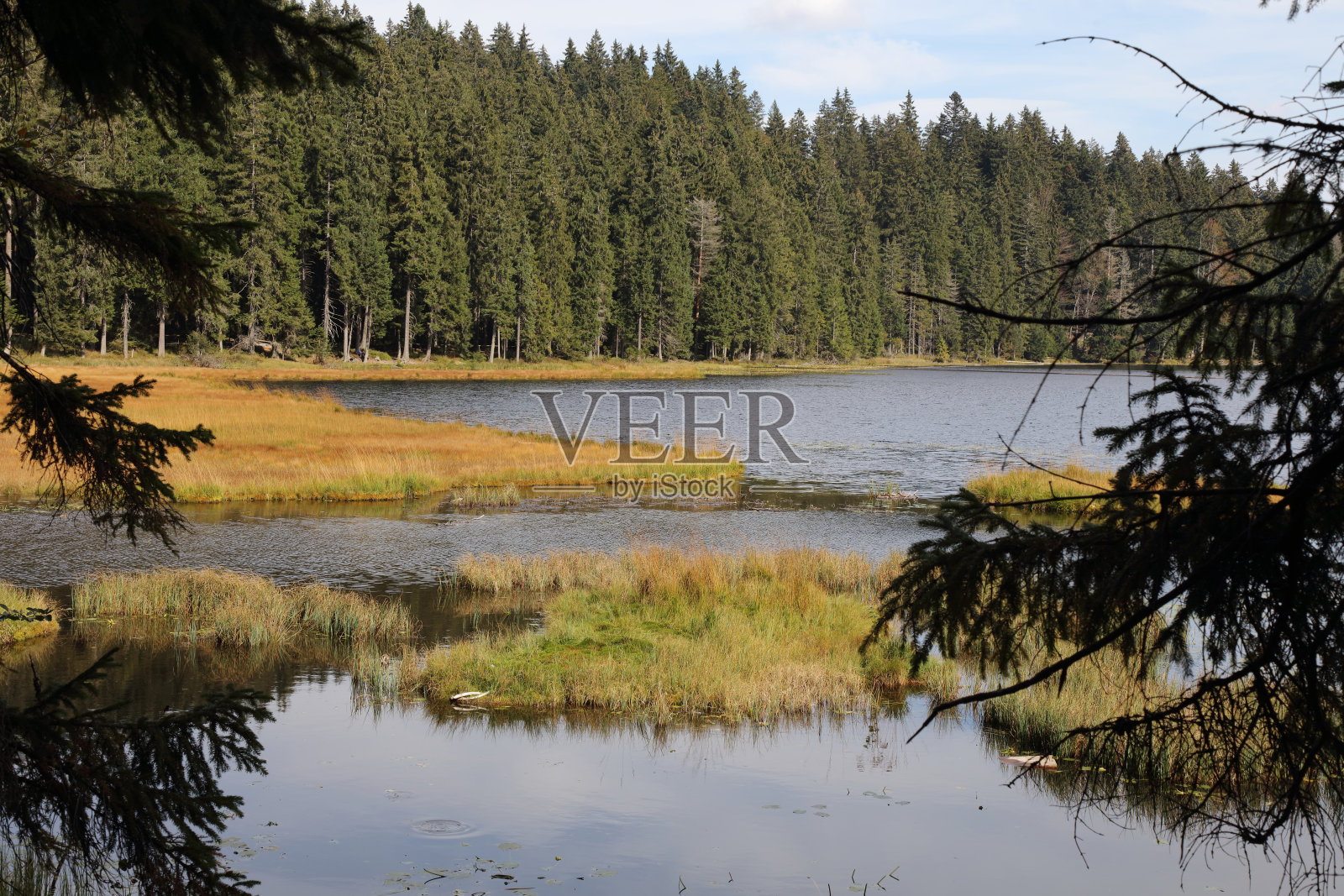 大阿尔伯湖照片摄影图片