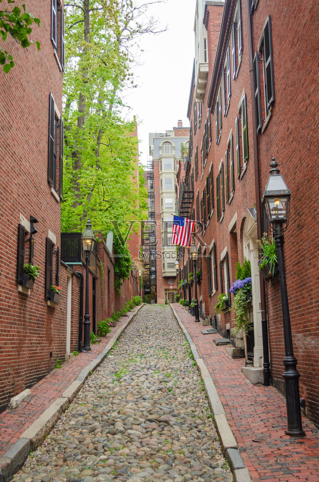 马萨诸塞州波士顿的橡树街照片摄影图片