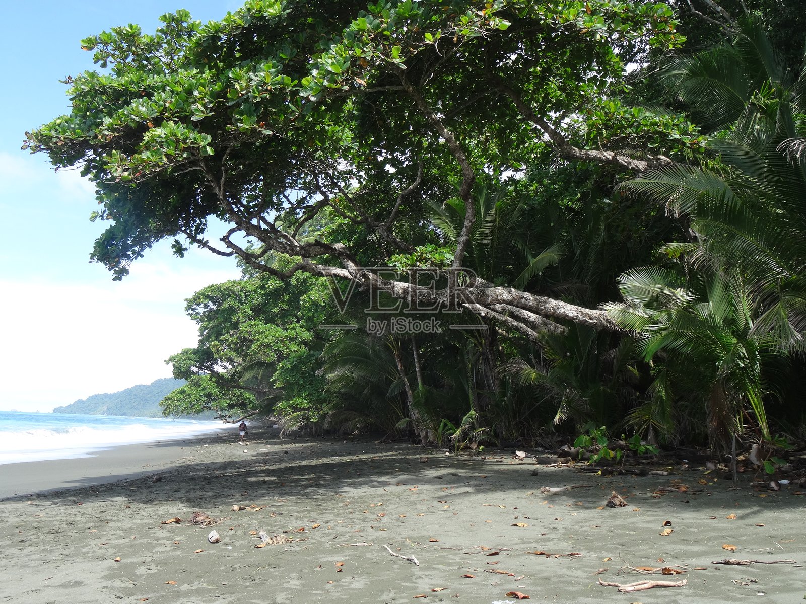 科尔科瓦多山。山附近是蒂茹卡国家公园。照片摄影图片