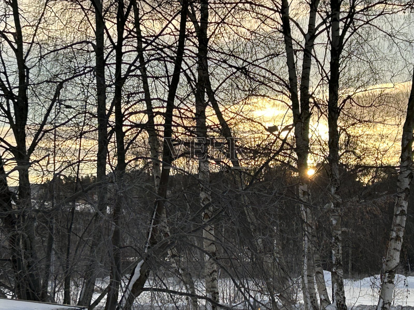 快速冬季活动照片摄影图片