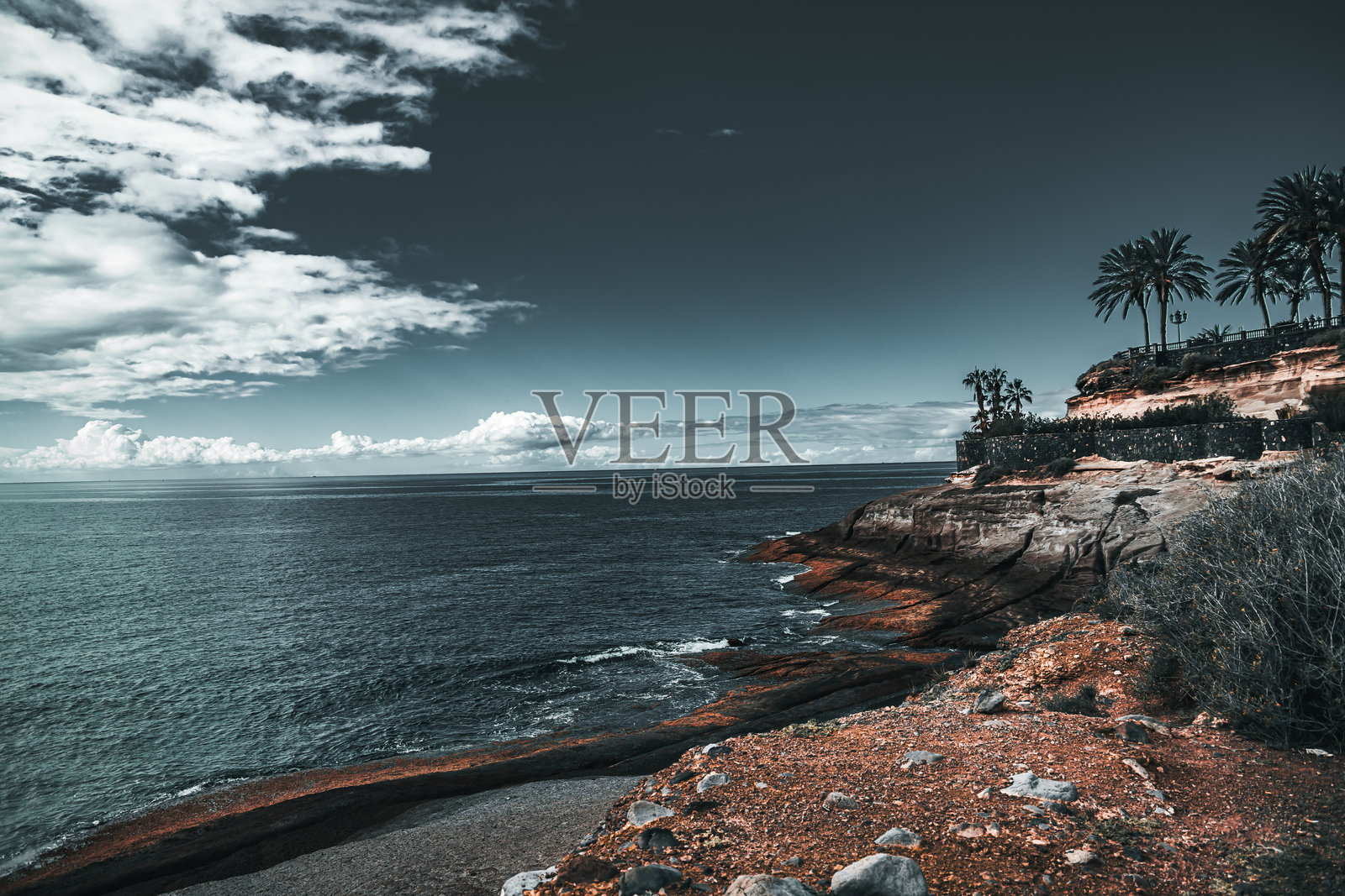 海洋照片摄影图片