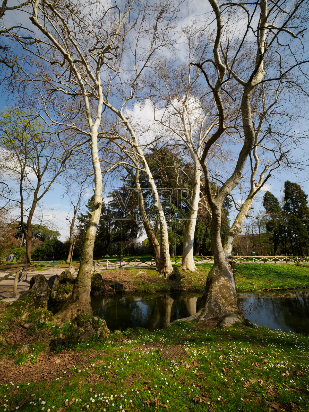 意大利米兰的森皮奥内公园,三月时节照片摄影图片