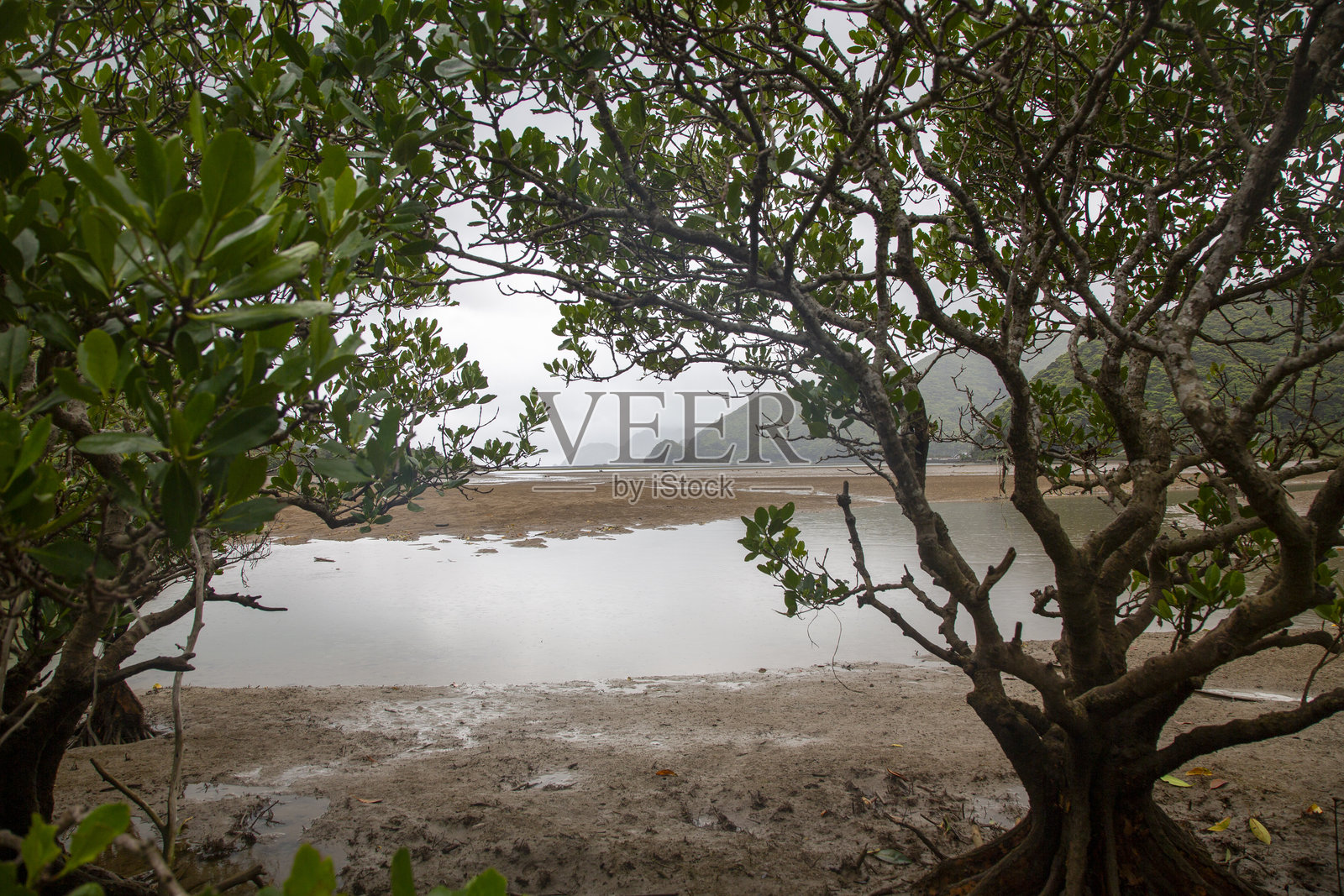 奄美大岛的创意特质照片摄影图片