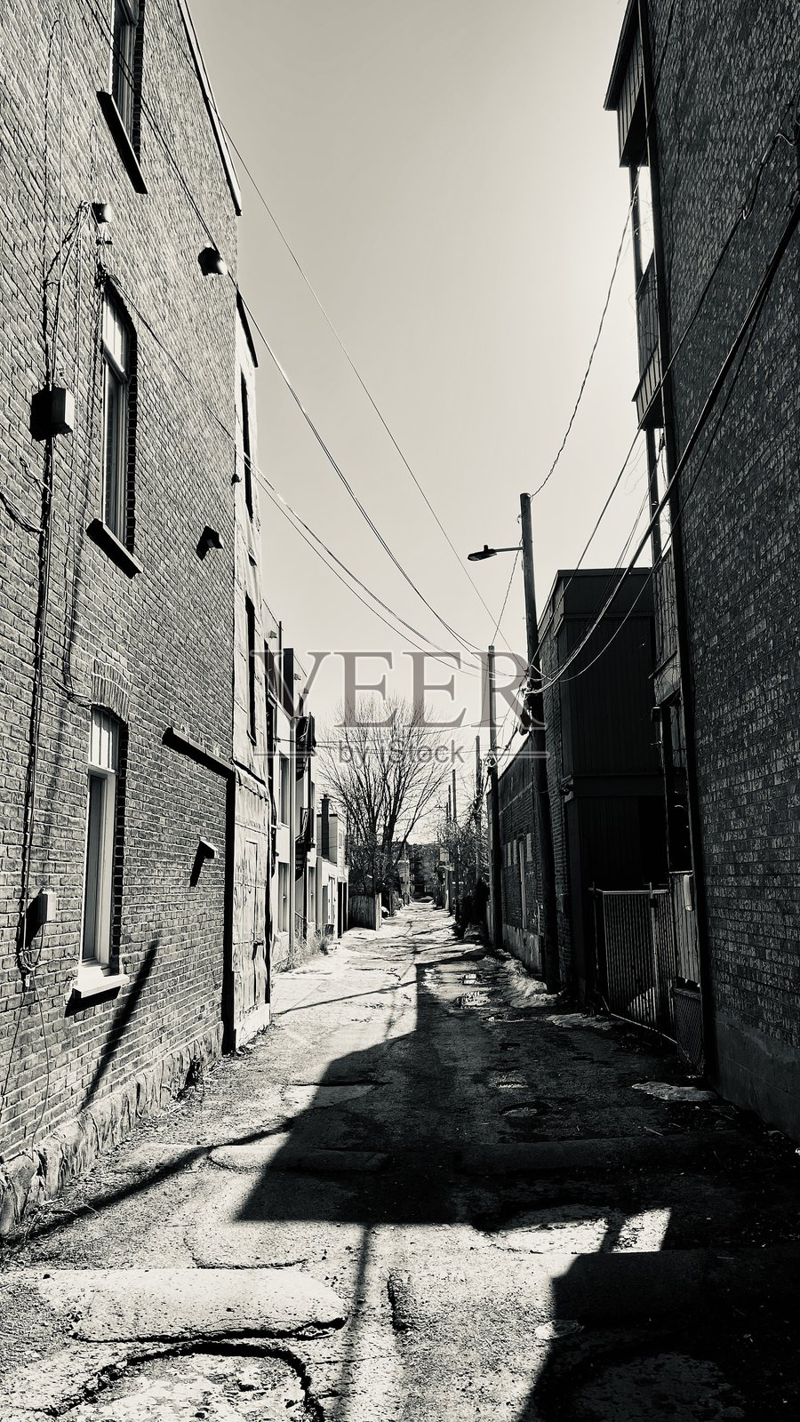 蒙特利尔的小巷照片摄影图片