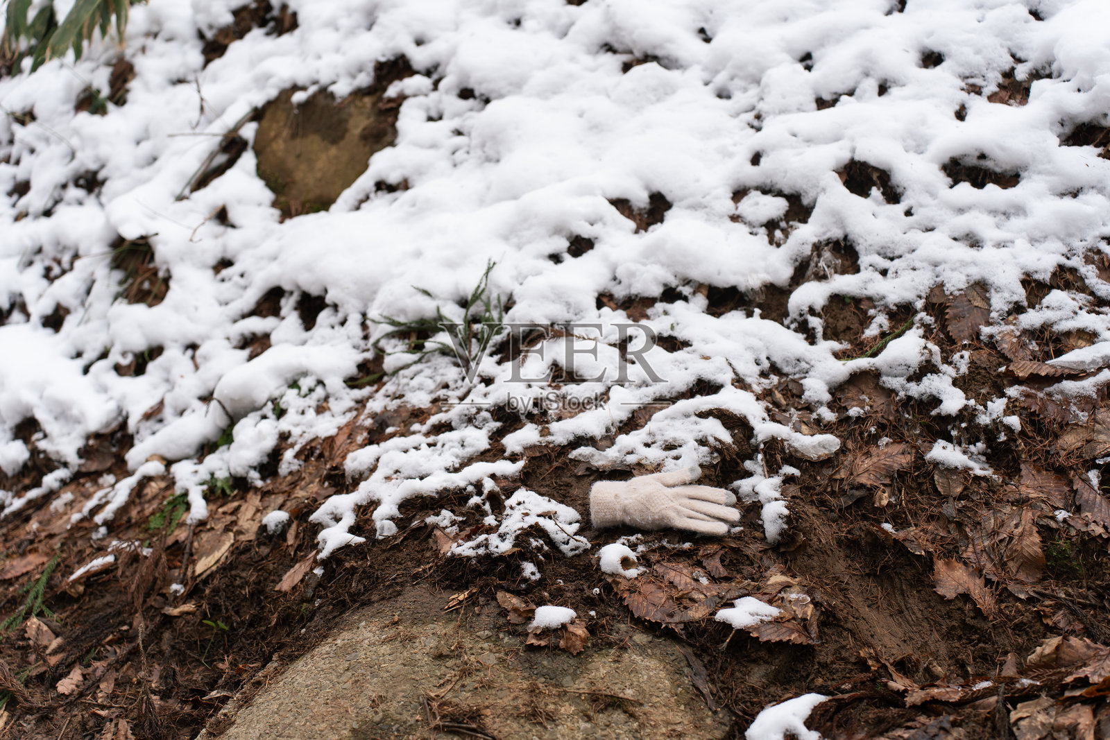 地面上覆盖着雪的干枯树叶和一只被遗忘的手套。照片摄影图片