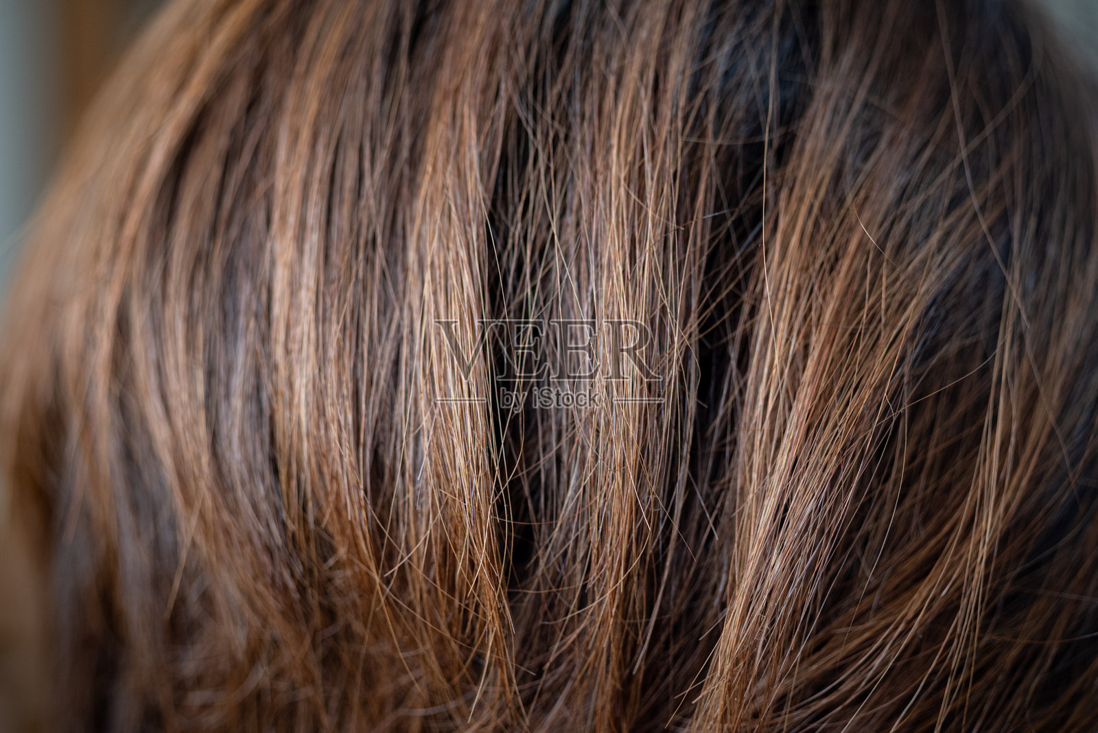 用微距镜头拍摄的女性头发照片摄影图片