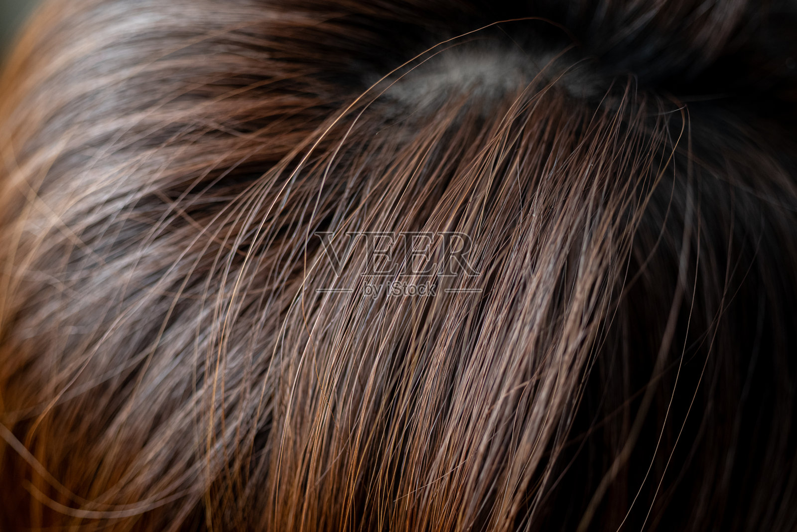 用微距镜头拍摄的女性头发照片摄影图片