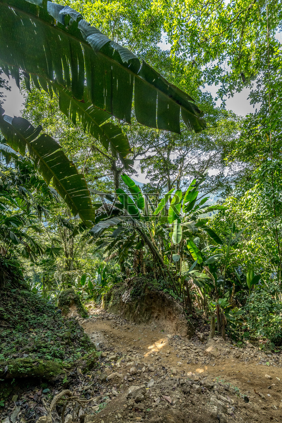 内华达山脉,失落之城徒步旅行照片摄影图片