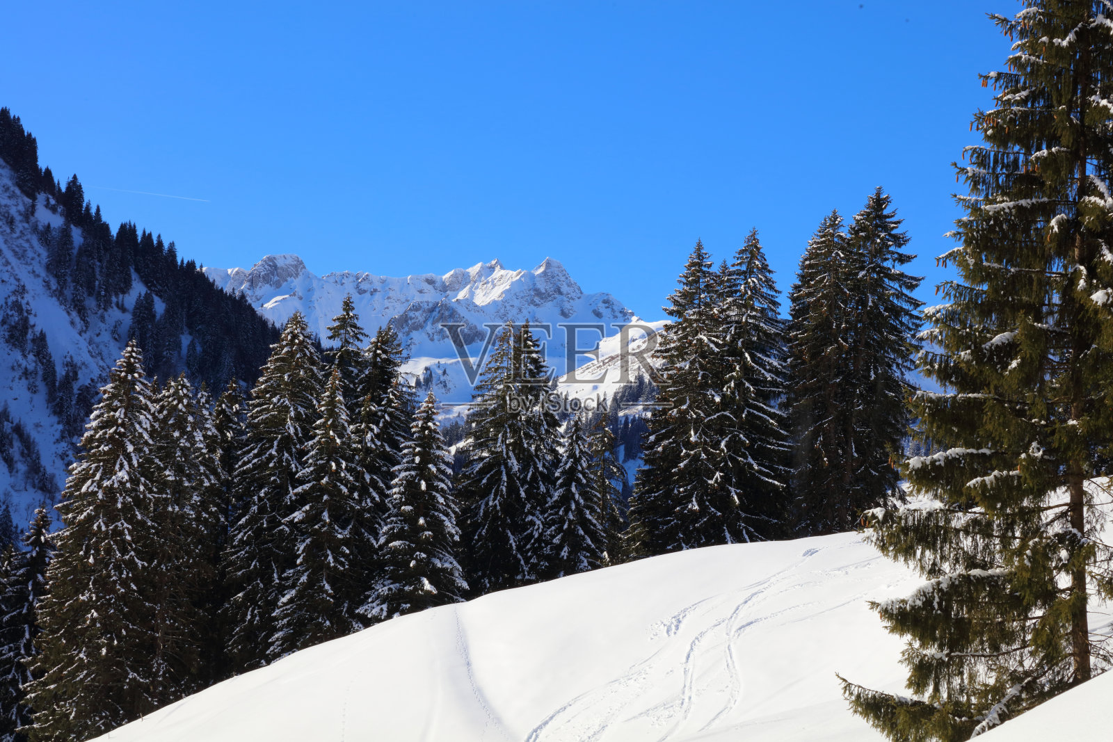 克莱因瓦尔斯特谷 - 冬季 / 克莱因瓦尔斯特谷 - 冬季照片摄影图片