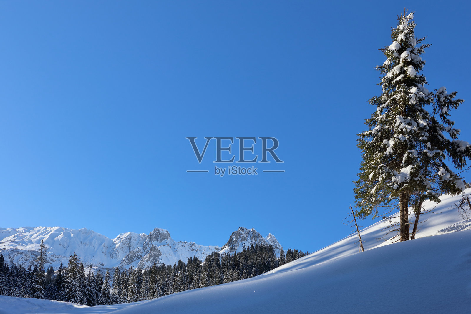 克莱因瓦尔斯特谷 - 冬季 / 克莱因瓦尔斯特谷 - 冬季照片摄影图片