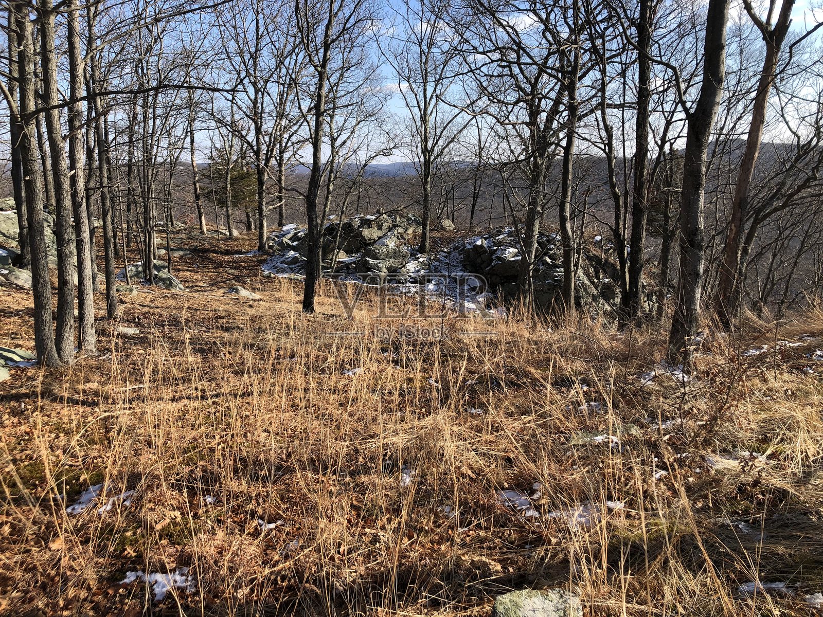 纽约州哈德逊高地州立公园一月的雪景。照片摄影图片