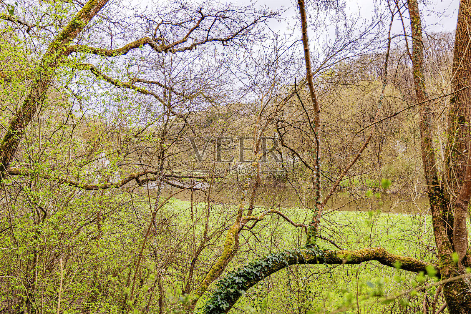 法国的野生自然田野和河流照片摄影图片