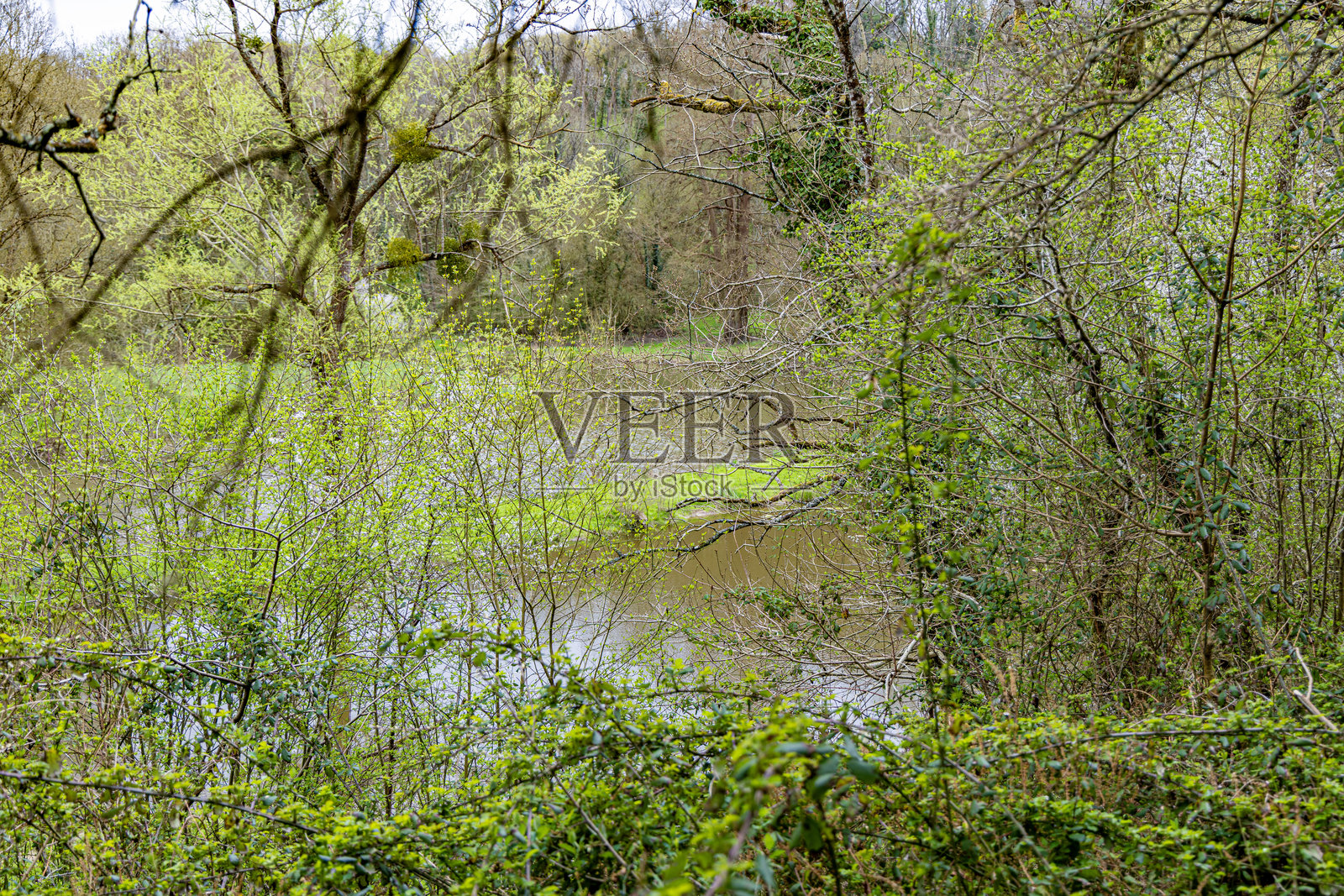 法国的野生自然田野和河流照片摄影图片