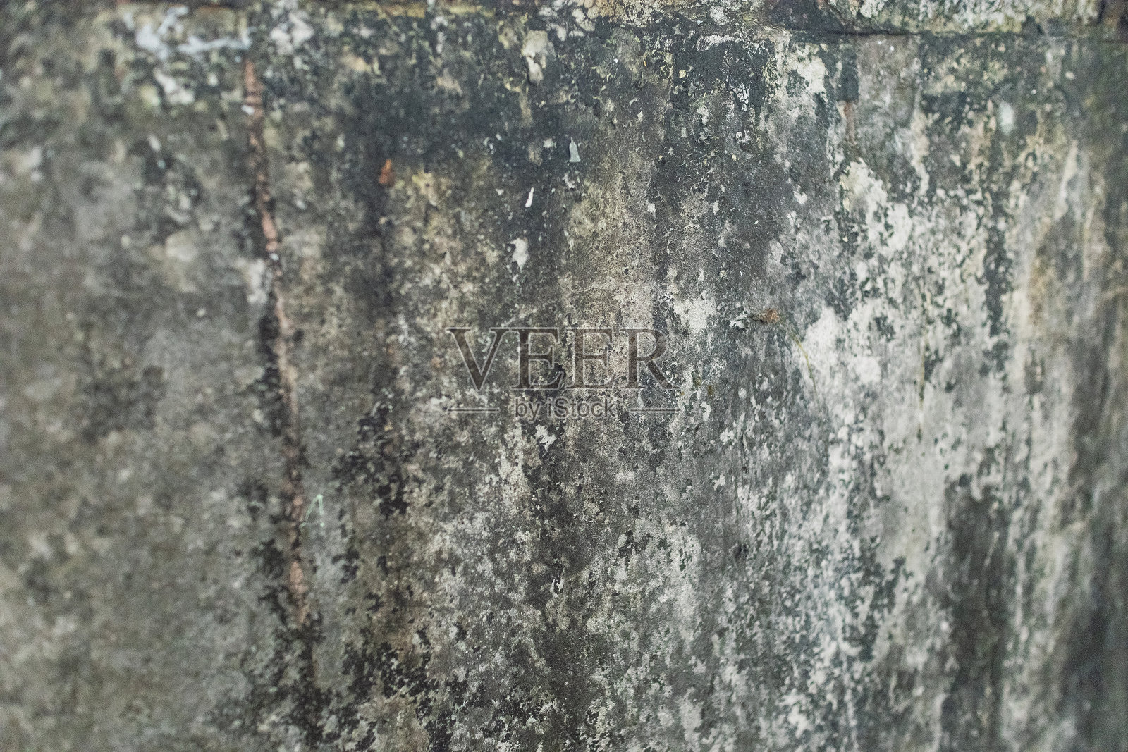 一面潮湿的混凝土墙上覆盖着大片黑色霉菌,裂缝显示出缺乏维护和修理。这面曾经是白色的墙壁现在已经老化和变色。照片摄影图片