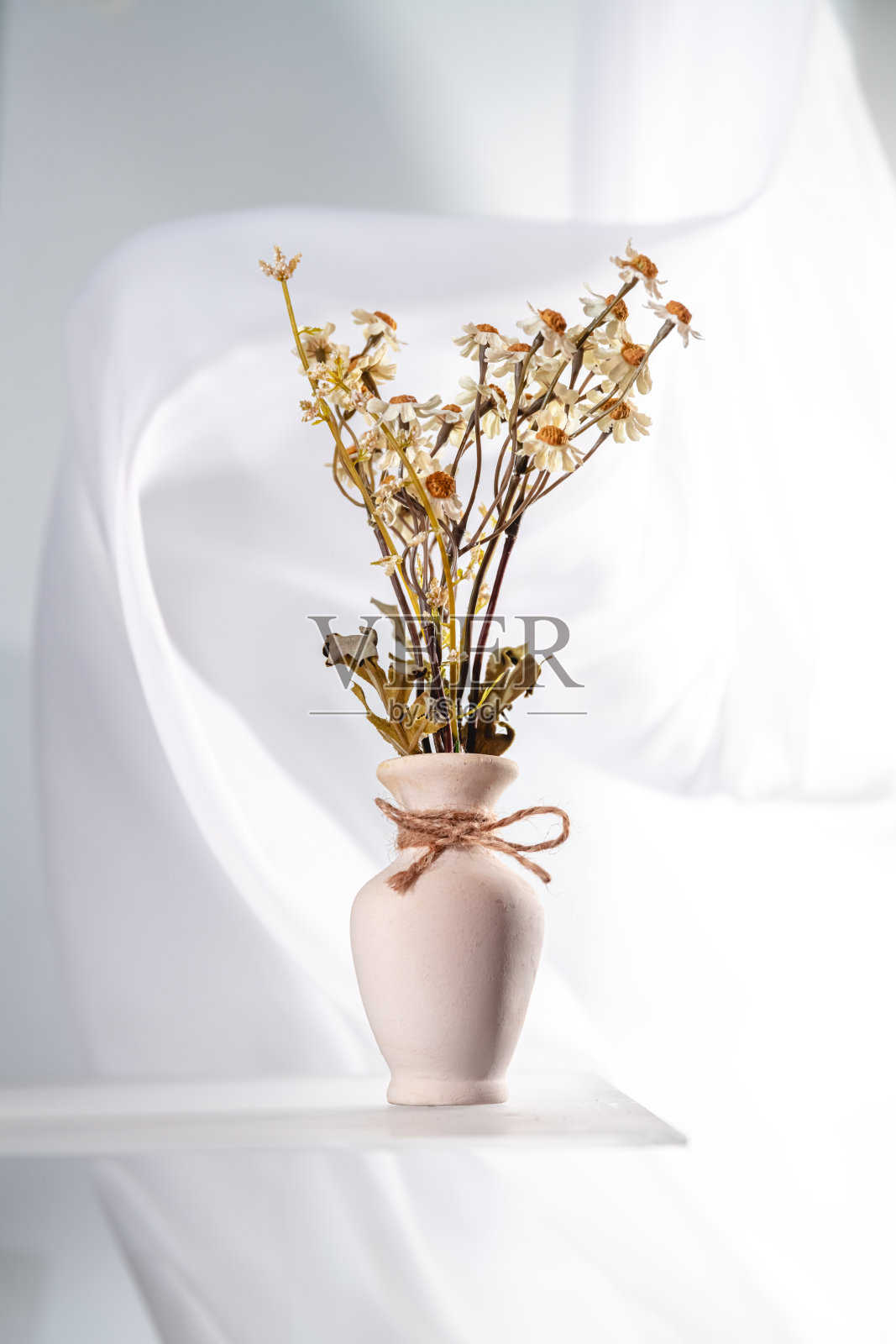 干燥的雏菊花朵在简单的花瓶中排列,背景为白色,柔和的布料轻轻垂落,营造出宁静而优雅的静物构图,强调自然之美和简约。照片摄影图片