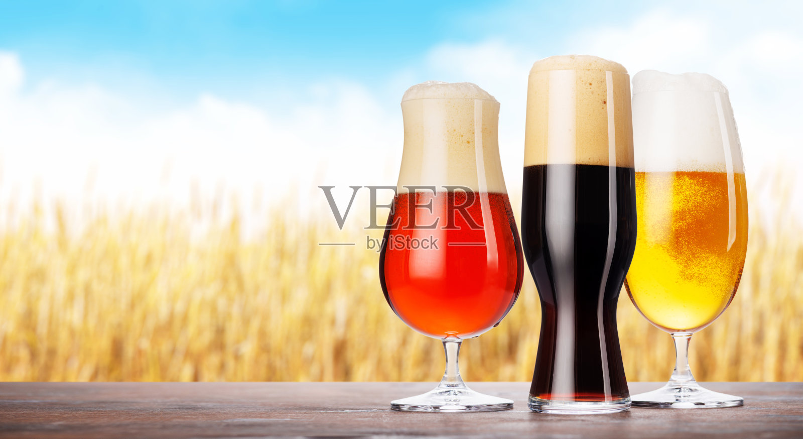 各种装满不同类型啤酒的啤酒杯照片摄影图片