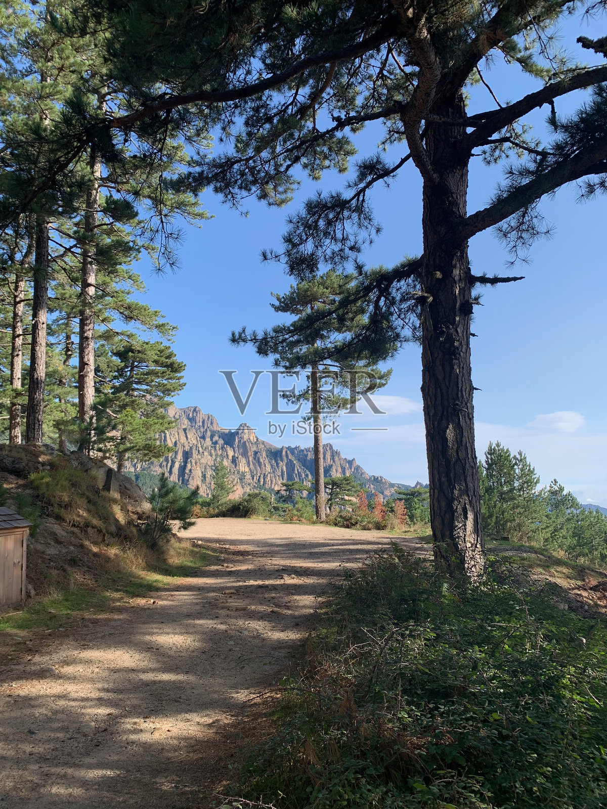 科西嘉的巴韦拉照片摄影图片