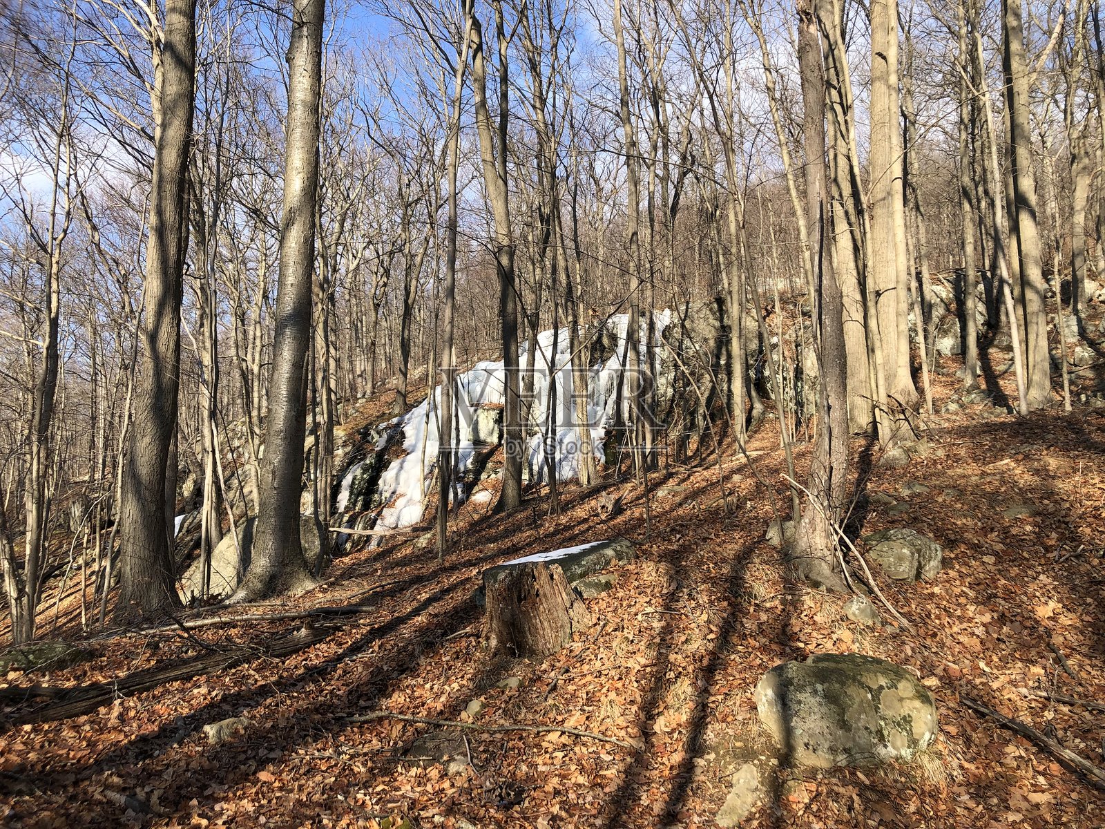纽约州哈德逊高地州立公园一月的南灯塔山,冰雪覆盖。照片摄影图片