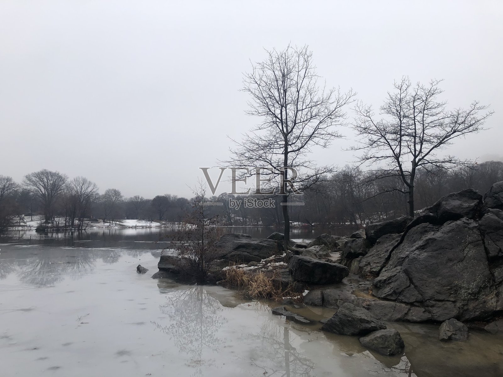 纽约曼哈顿二月的阴天中央公园。照片摄影图片