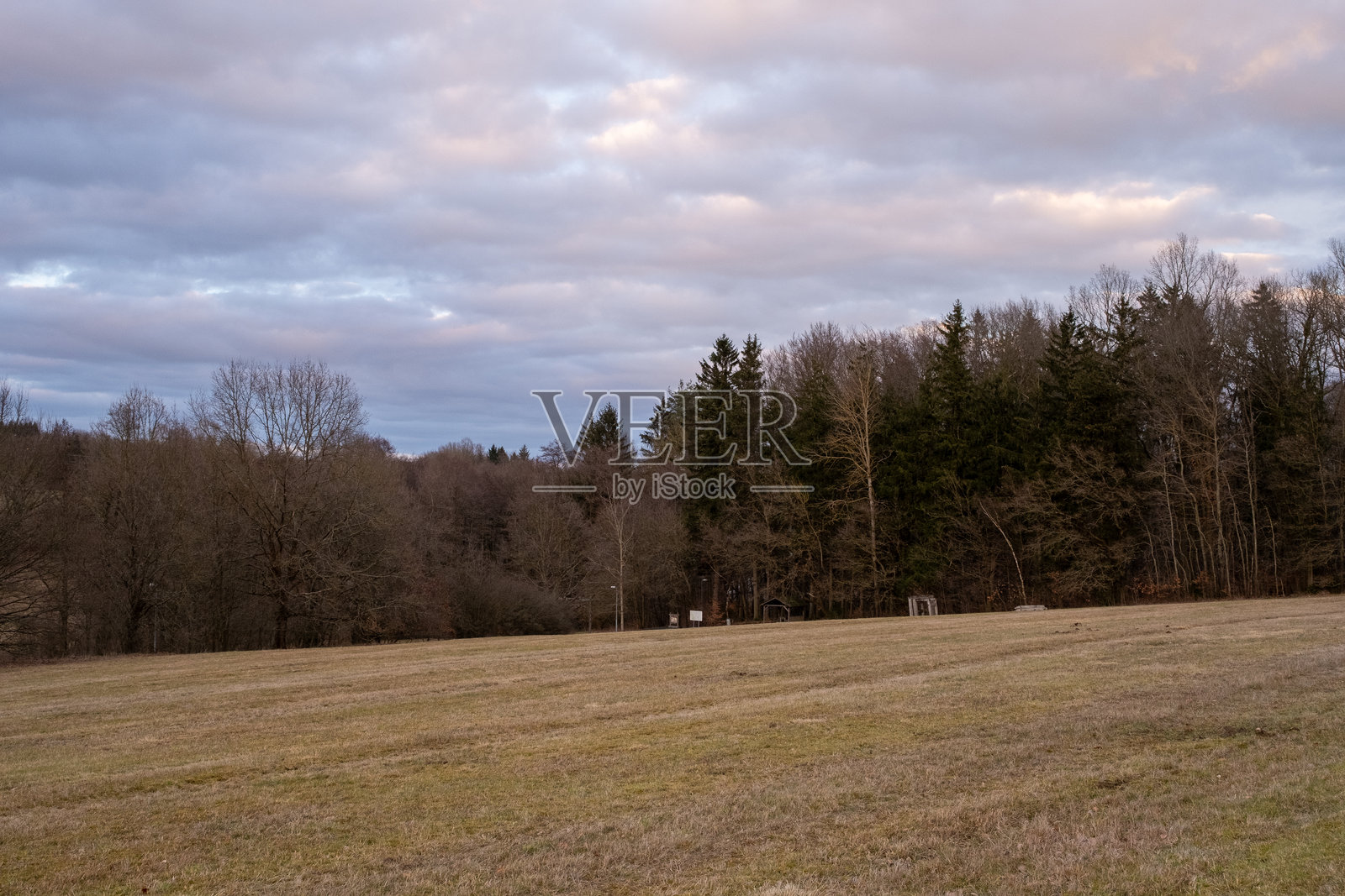 开阔的田野和浓密的森林在阴 cloudy 的天空下照片摄影图片