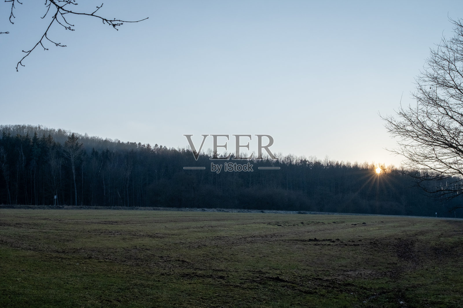 森林山丘和开阔田野上的日出照片摄影图片