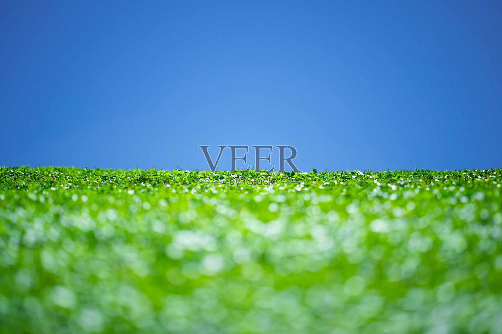 空旷的春季草地。草甸。草坪背景。春天的绿色环境。绿色草地。春季乡村。绿色背景。草地图案。春季草甸。照片摄影图片