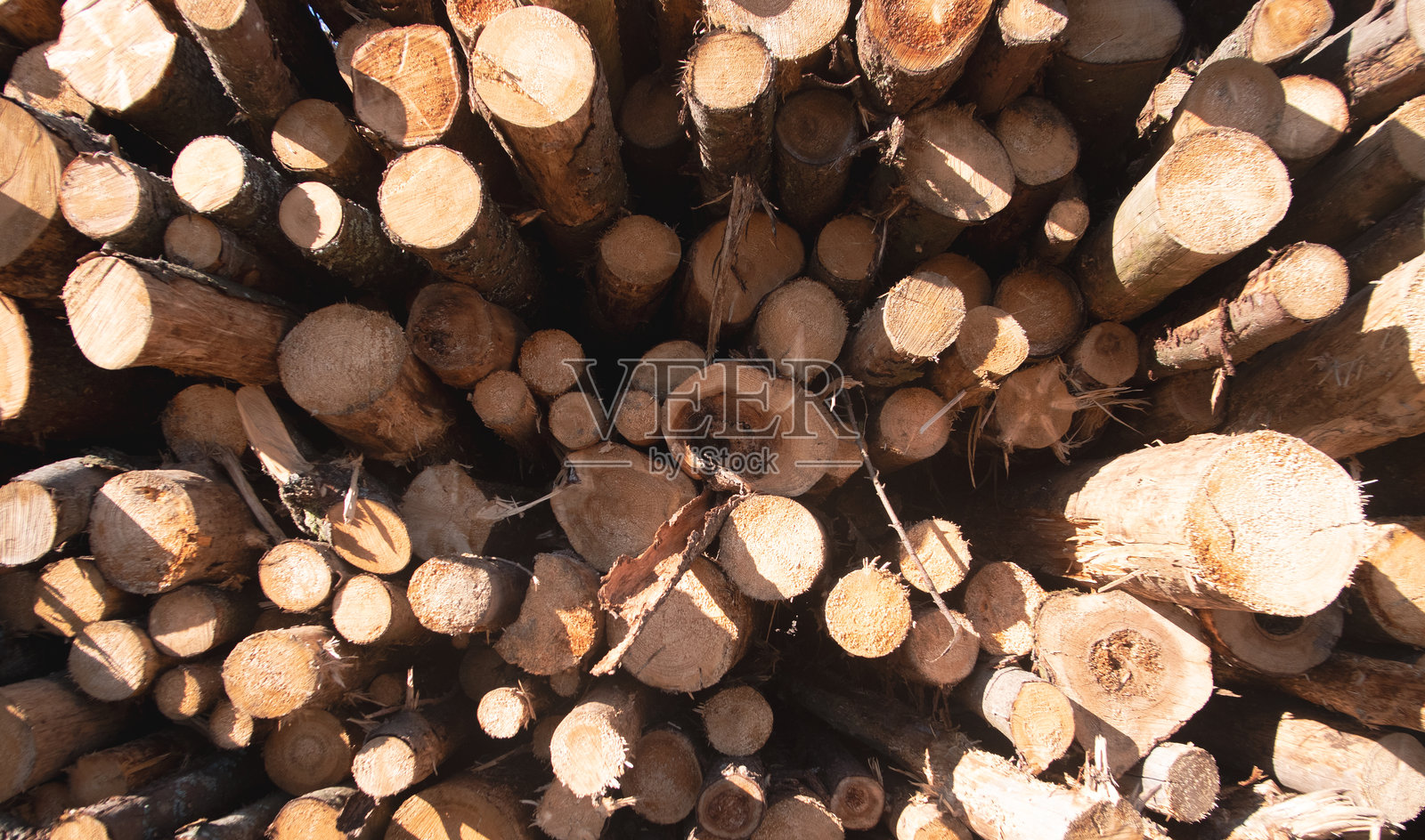 木材背景和纹理照片摄影图片